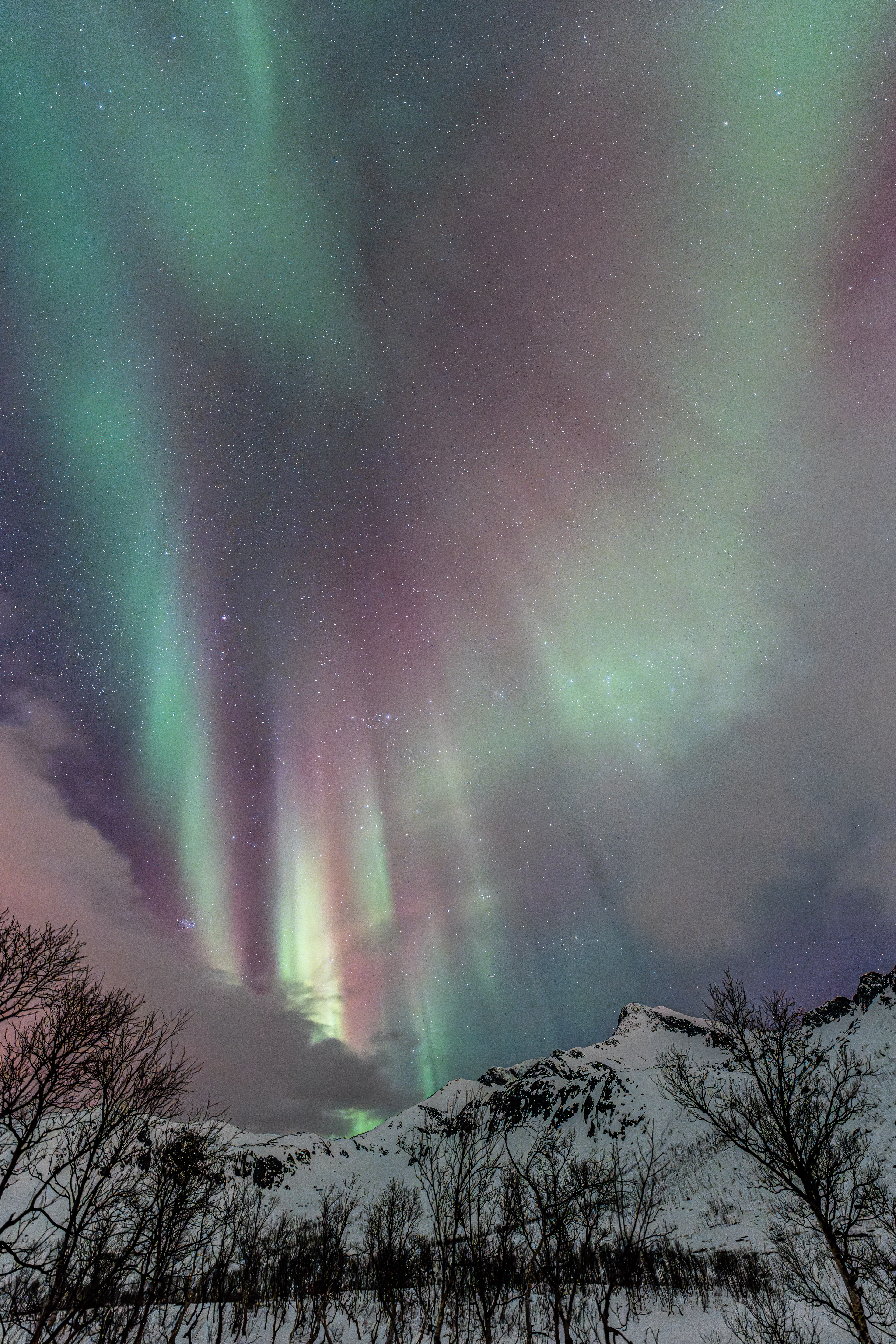 Polarlicht über Norwegen (25.02.2025)