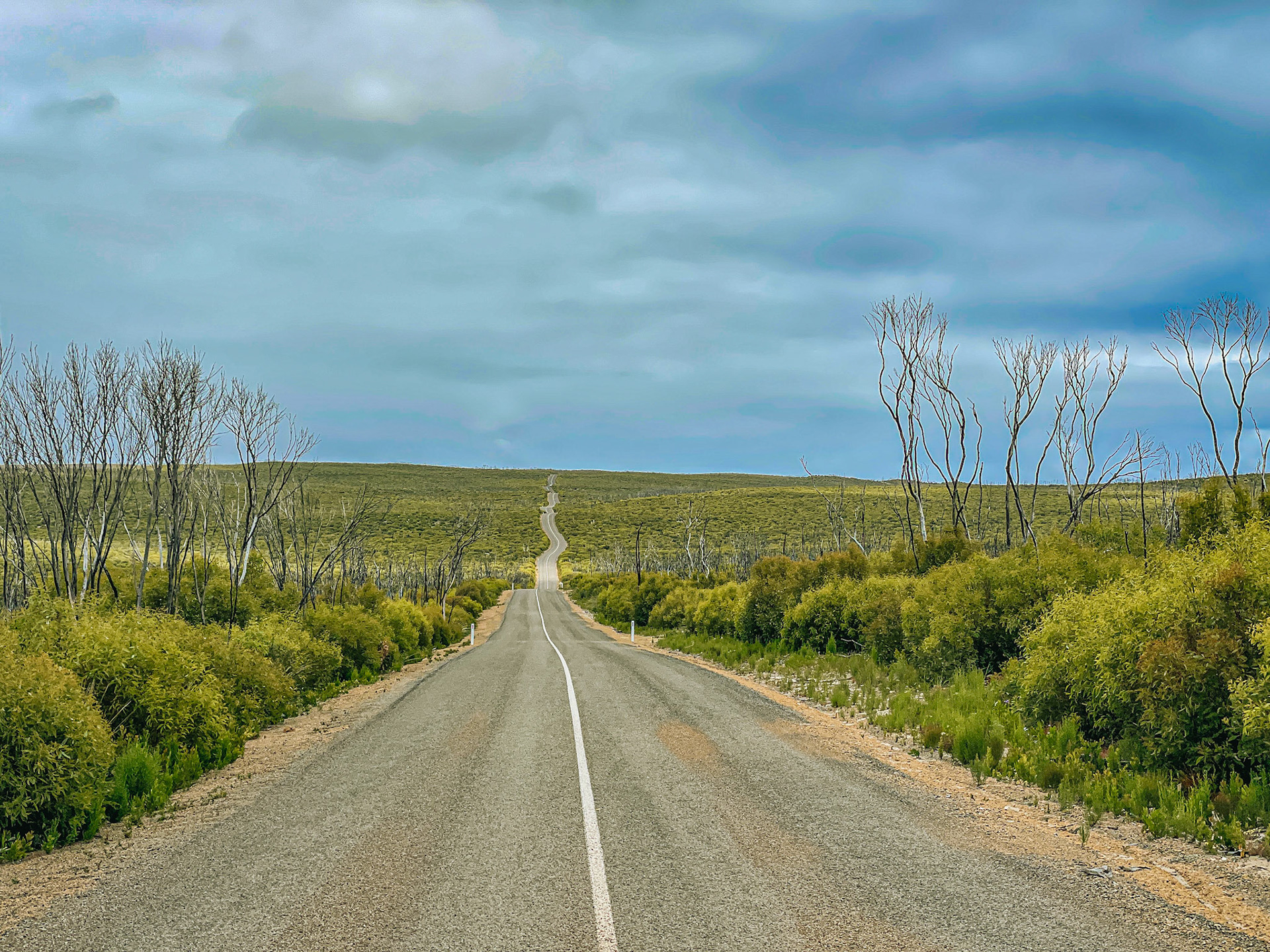 The long and winding road (home). Yorke Peninsular, 2021.