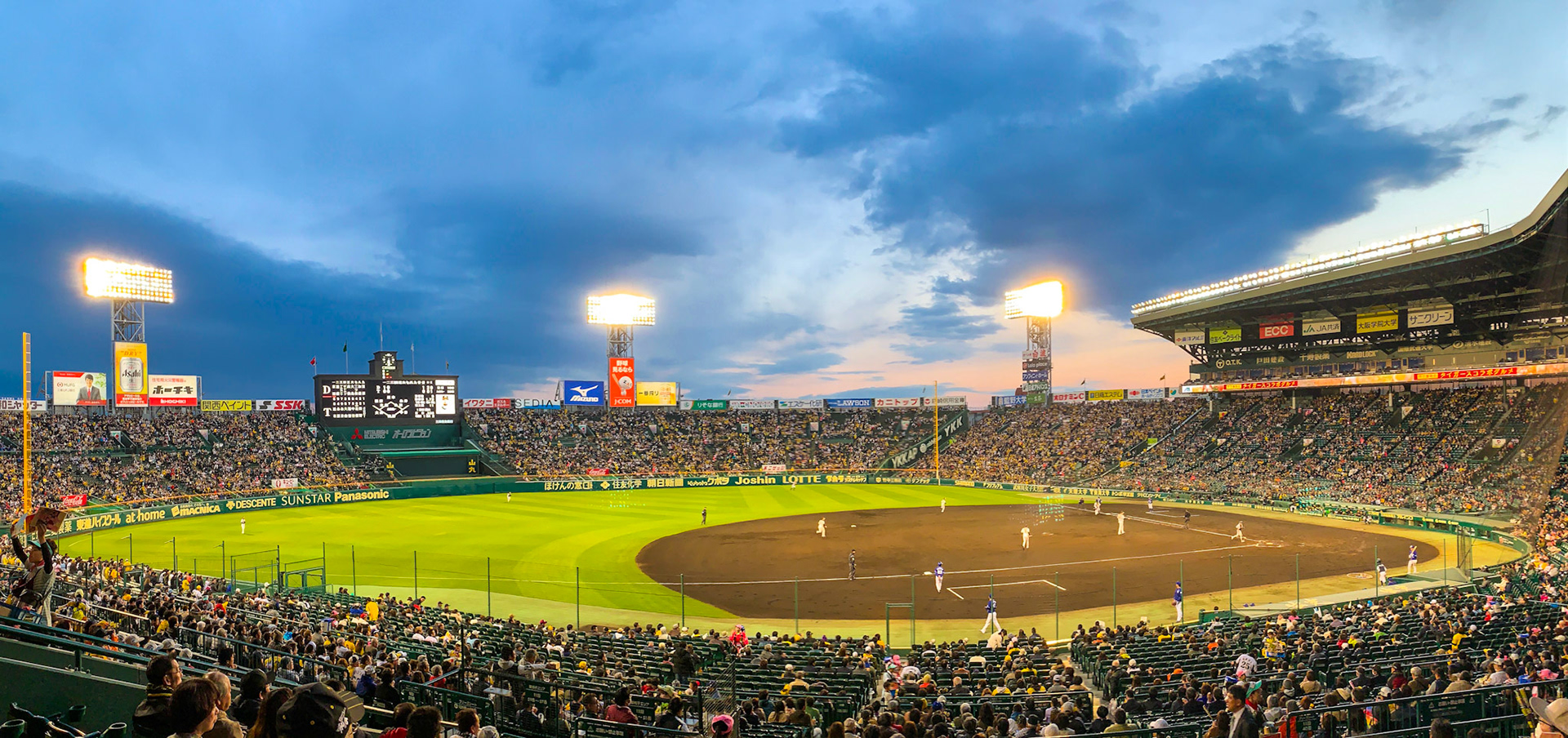 Honshien Tiges, Osaka. Japan 2019.
