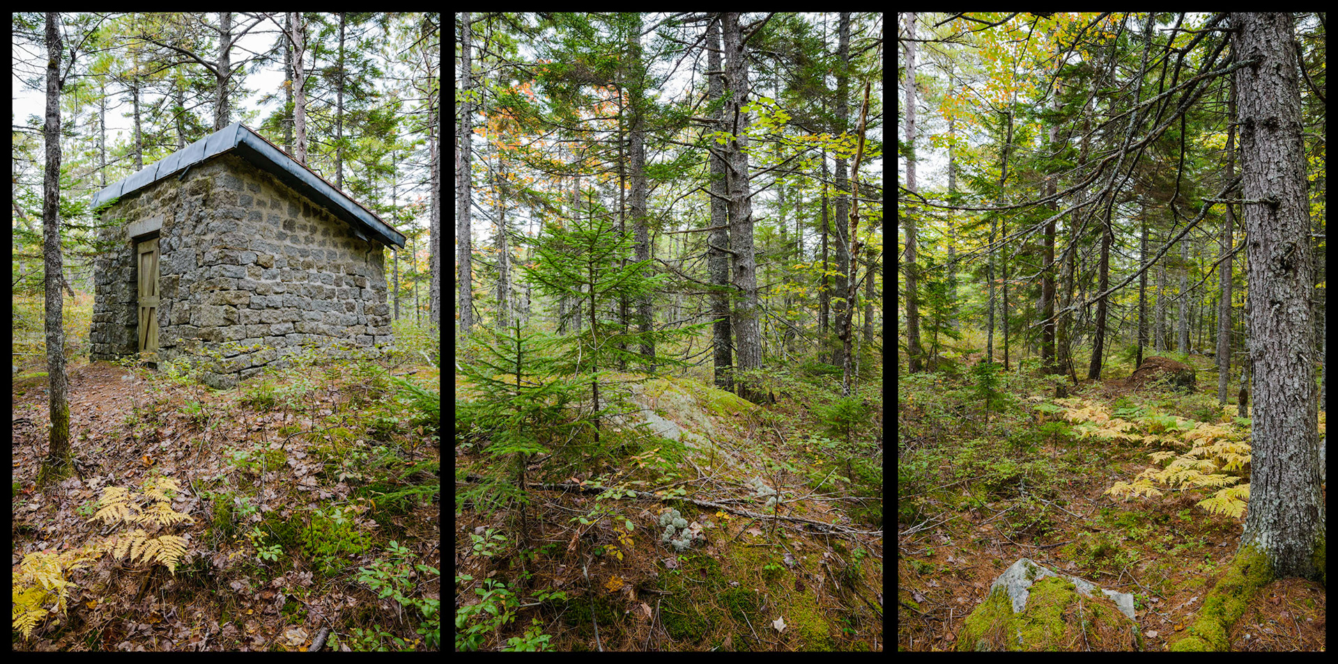 Outhouse, Chase Quarry, Blue Hill, Maine, MMXV