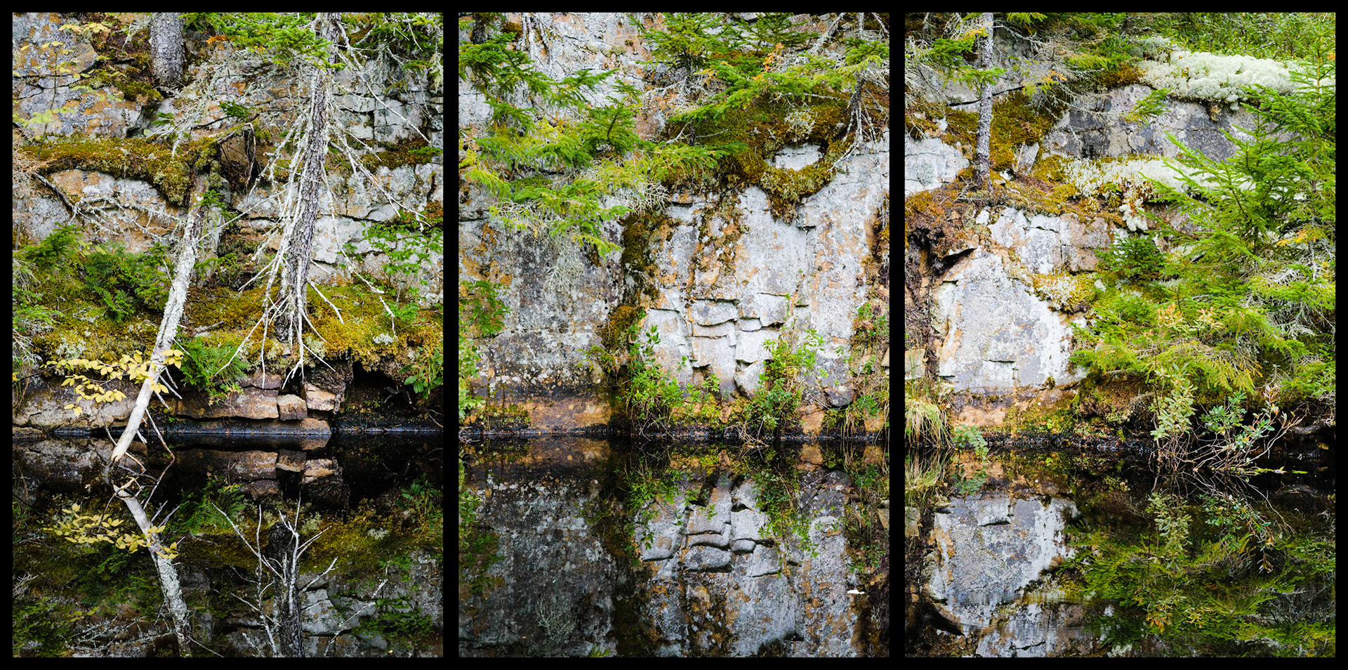 Collins Quarry, East Blue Hill, Maine, MMXIV