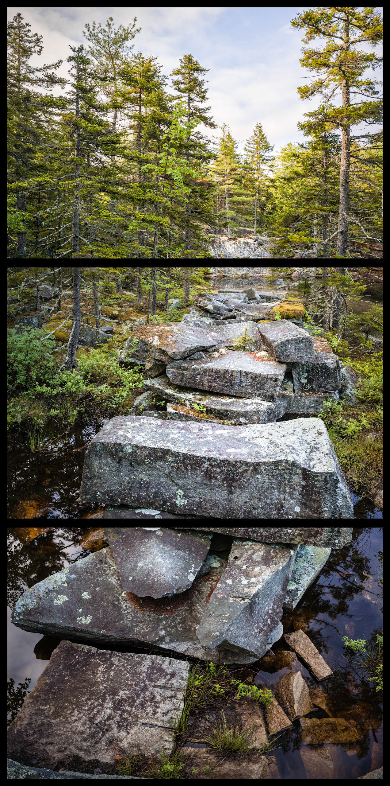Chase Quarry, Blue Hill, Maine, MMXV