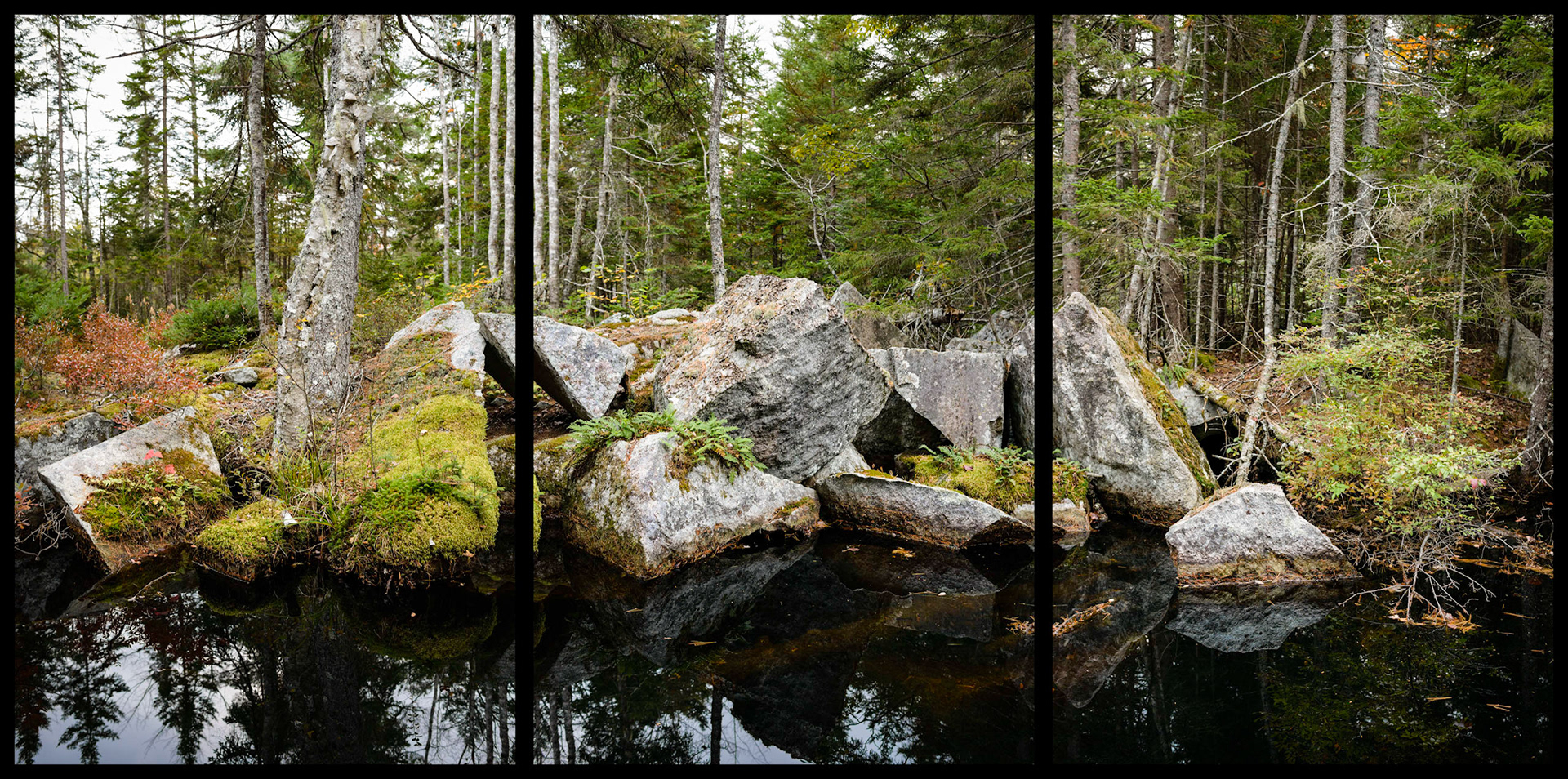 Collins Quarry, East Blue Hill, Maine, MMXIII