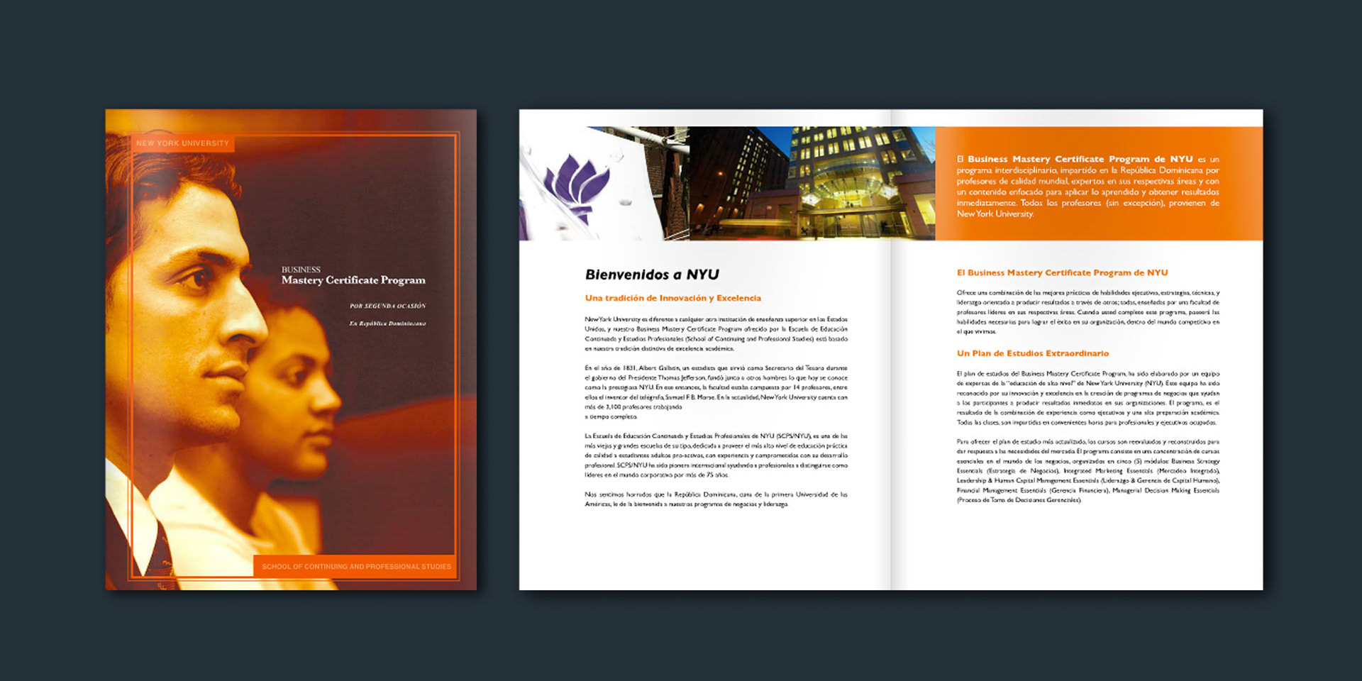 Cronos/NYU Mastery Certificate Program. To see more go to publications