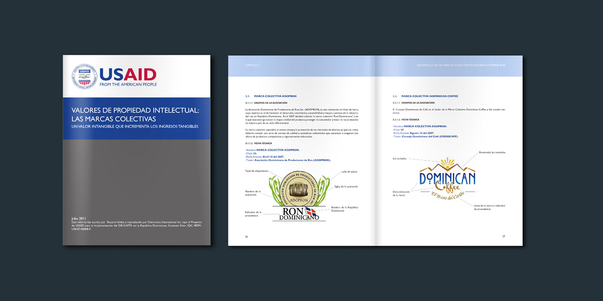 Intelectual property values manual 