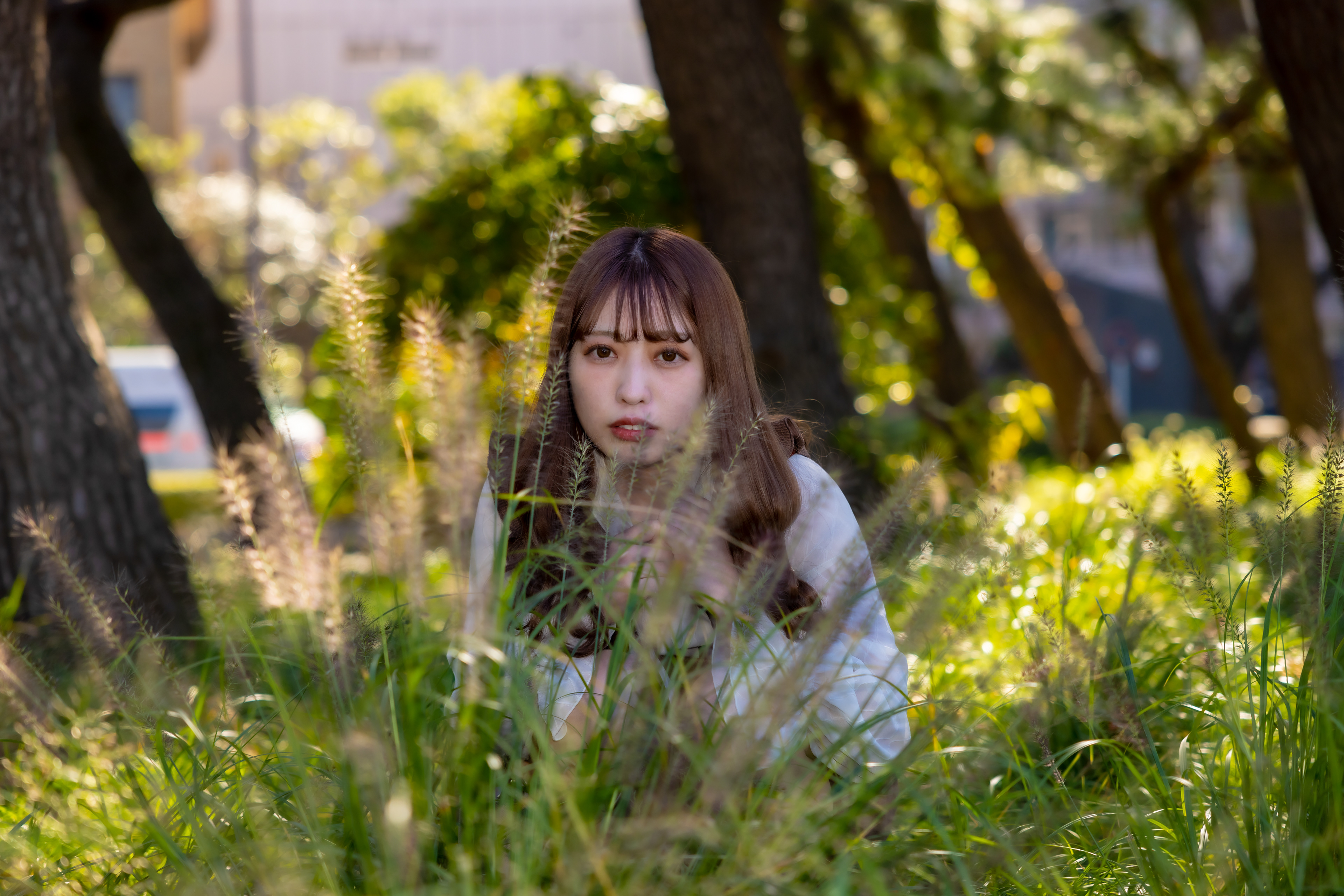 (工夫)光の感じがとてもいい感じの写真になりました／(カメラ)CANON EOS R5／(レンズ)CANON RF24-70mm F2.8 L IS USM／(撮影日)2022年11月06日／(撮影場所)外濠公園／(モデル)那月なの