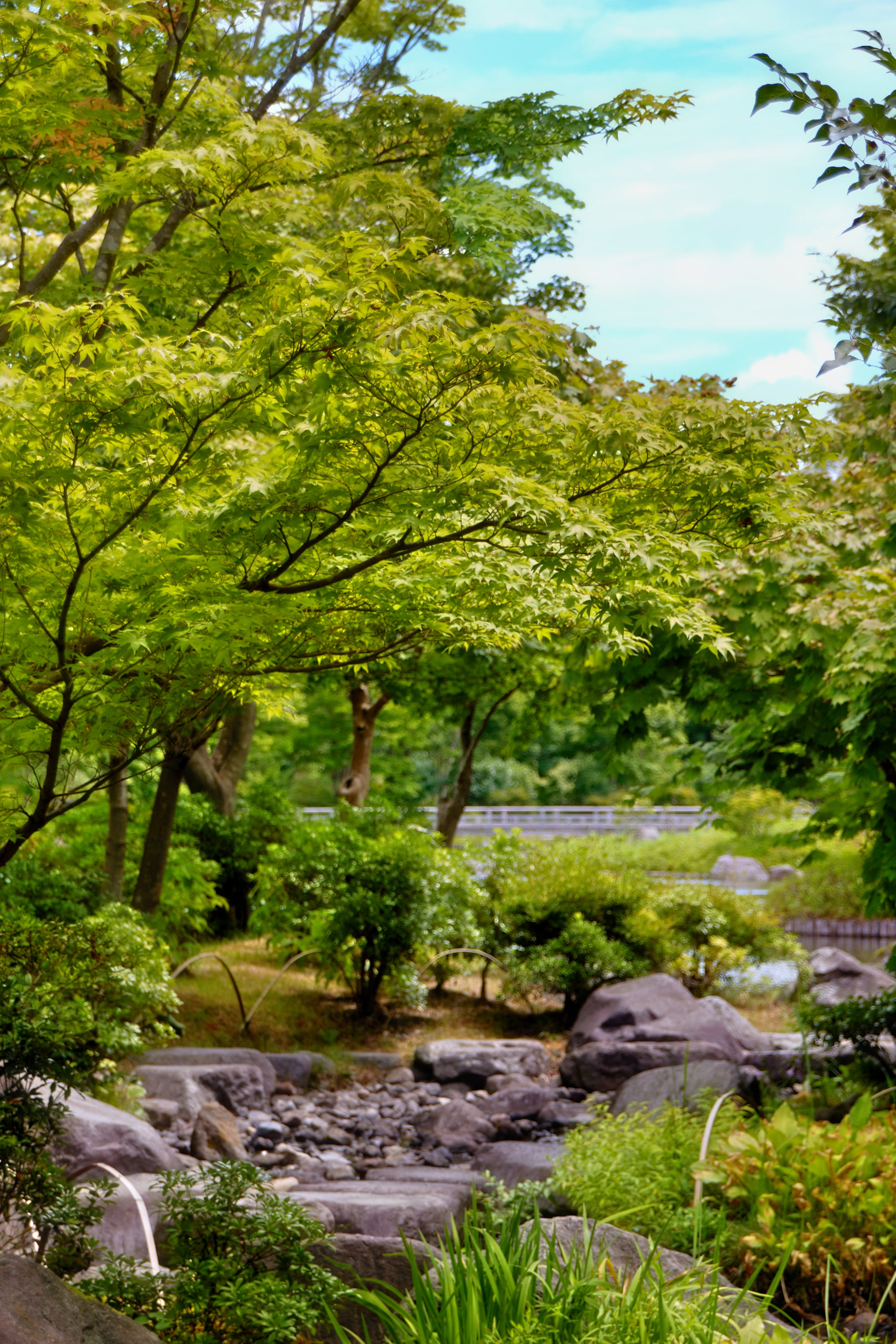 東京都/昭和記念公園/日本庭園
