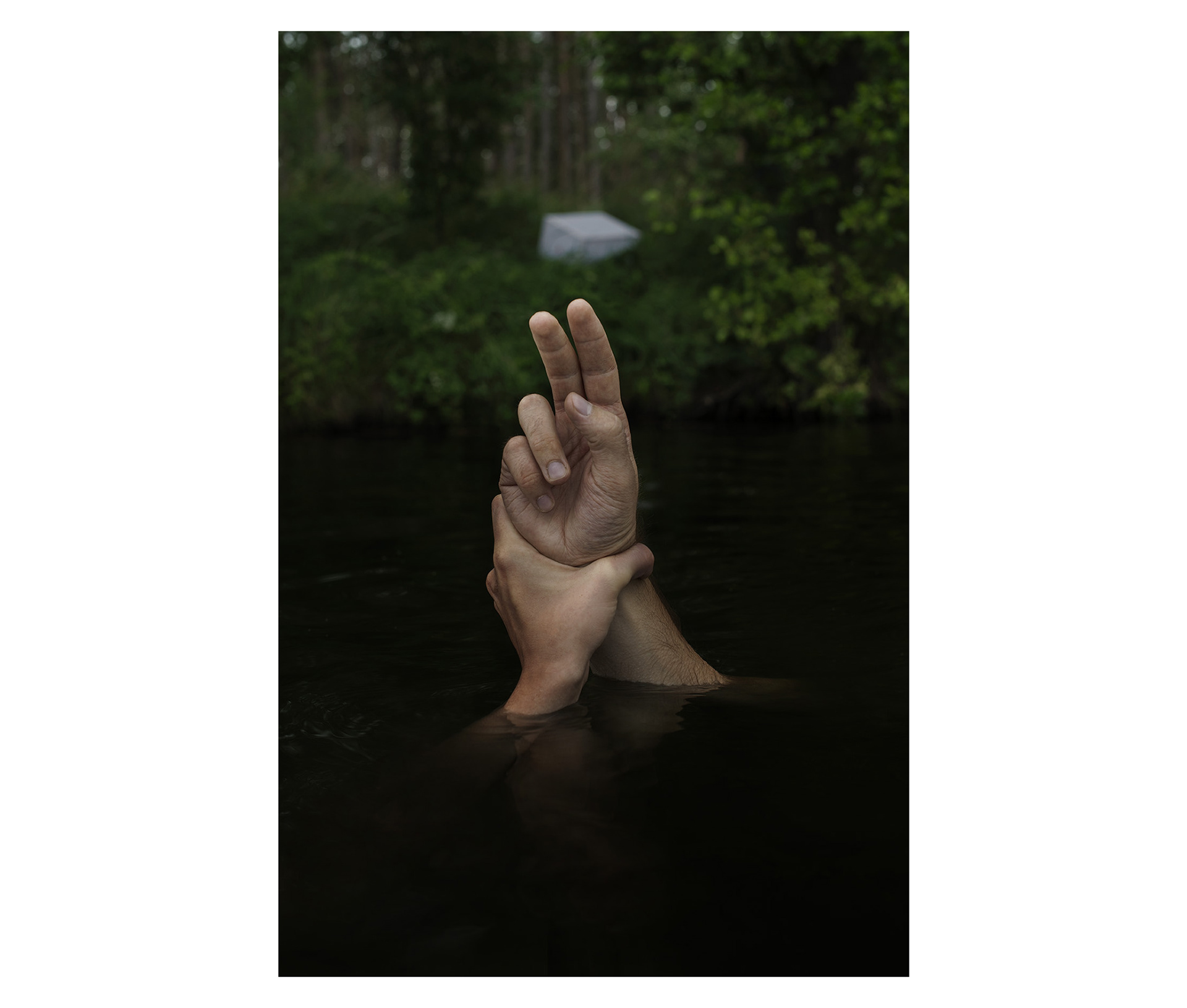 Agnieszka Stachura Bosch Photography