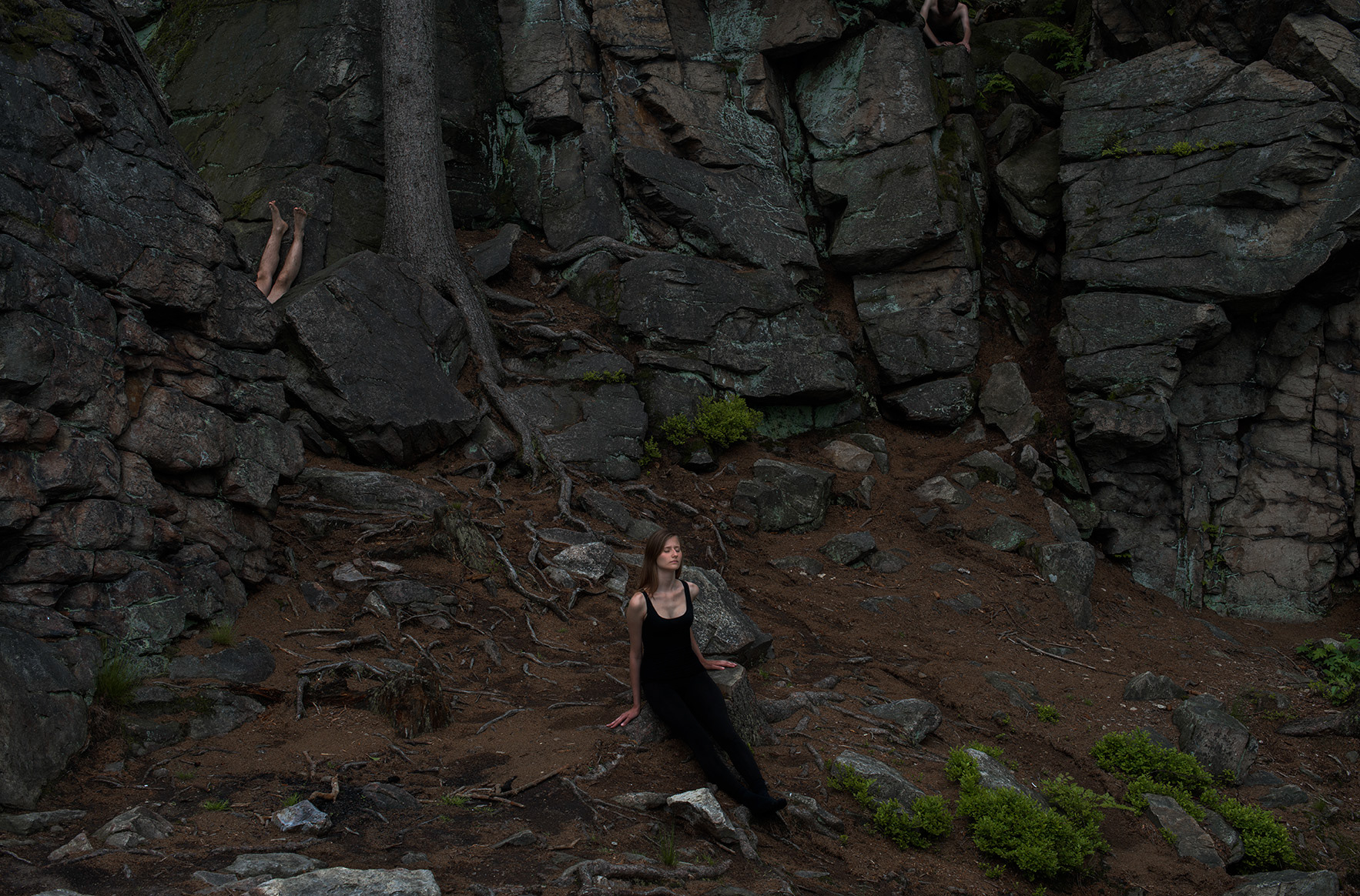 Agnieszka Stachura Bosch Photography