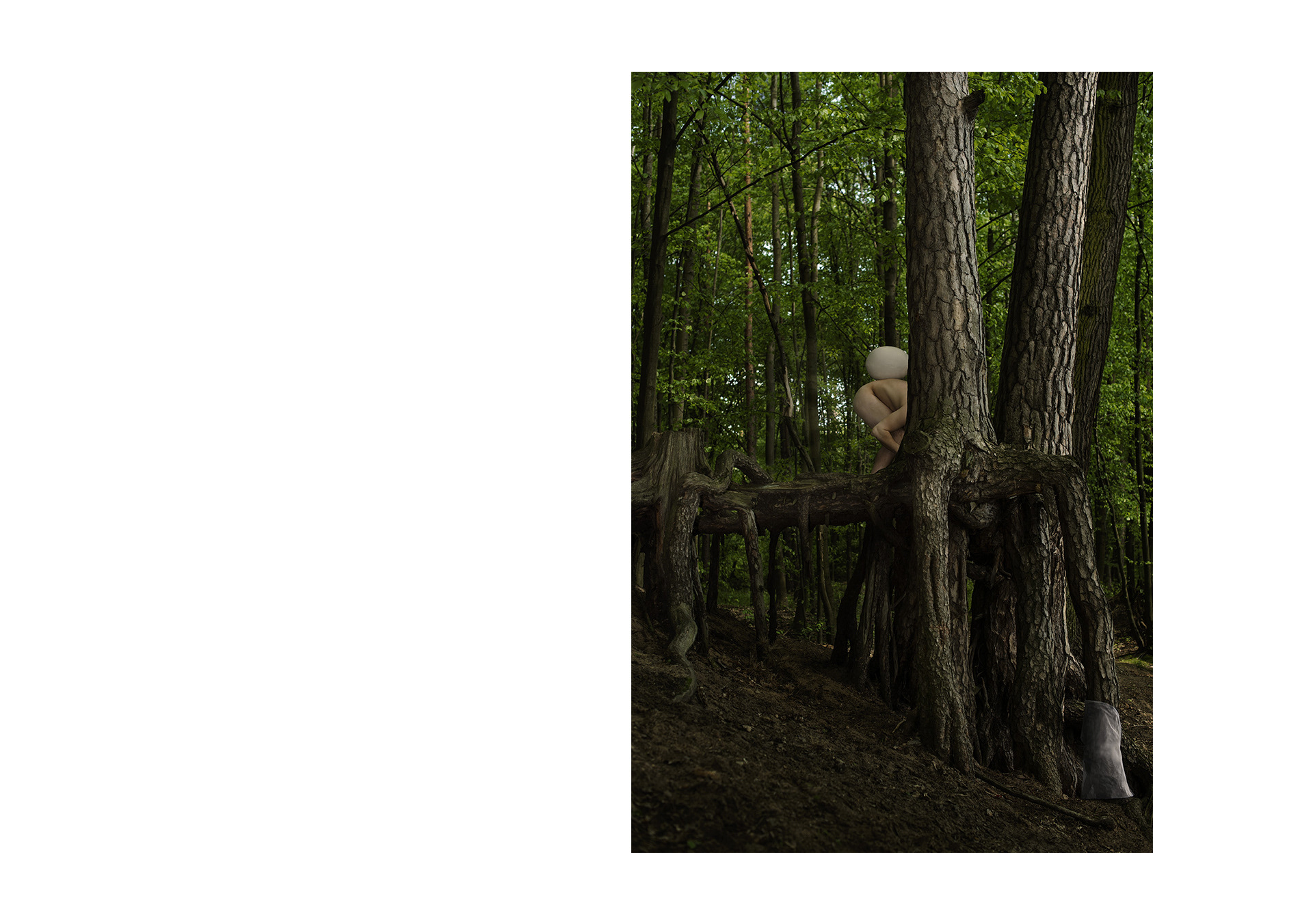 Agnieszka Stachura Bosch Photography