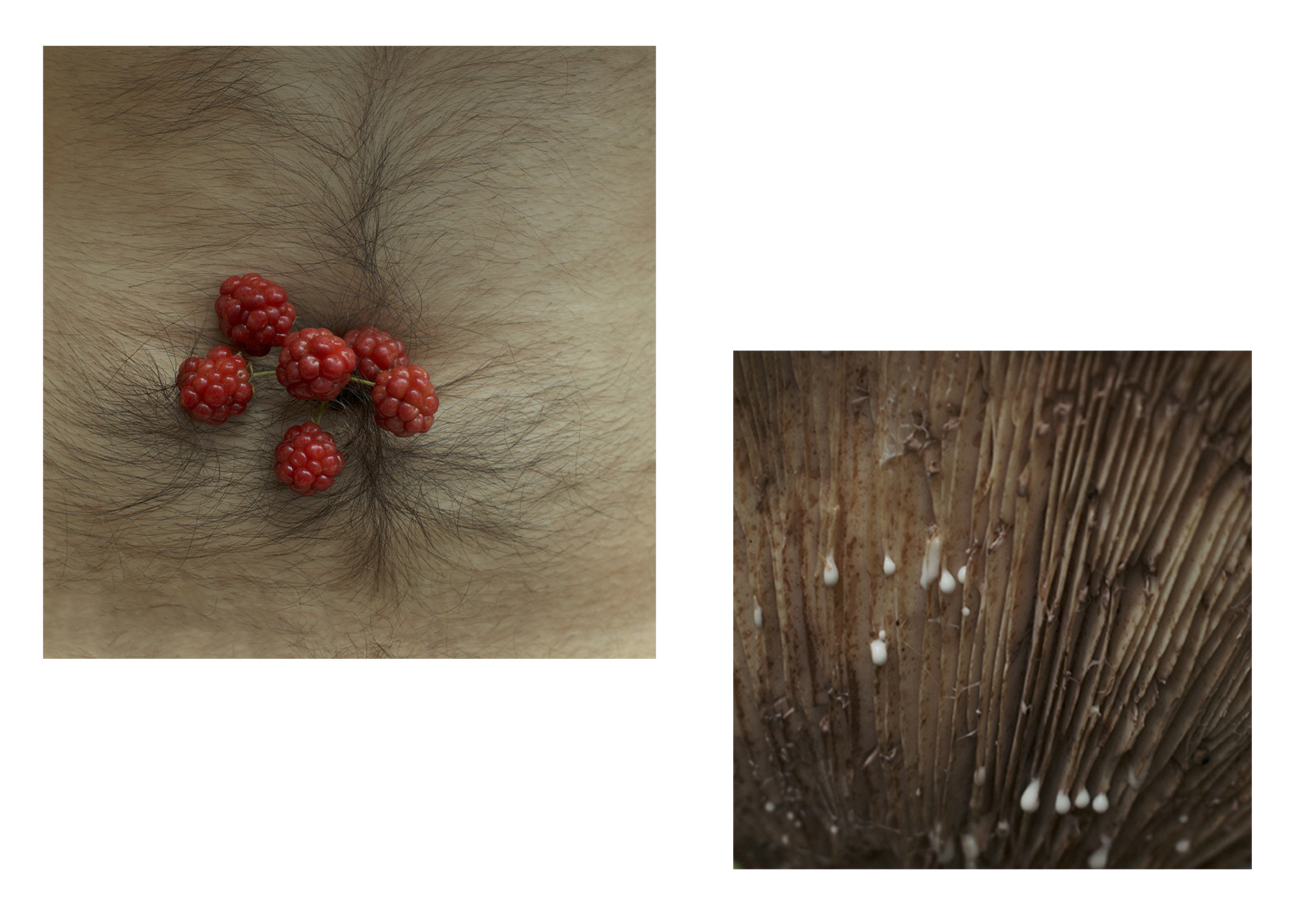 Agnieszka Stachura Bosch Photography
