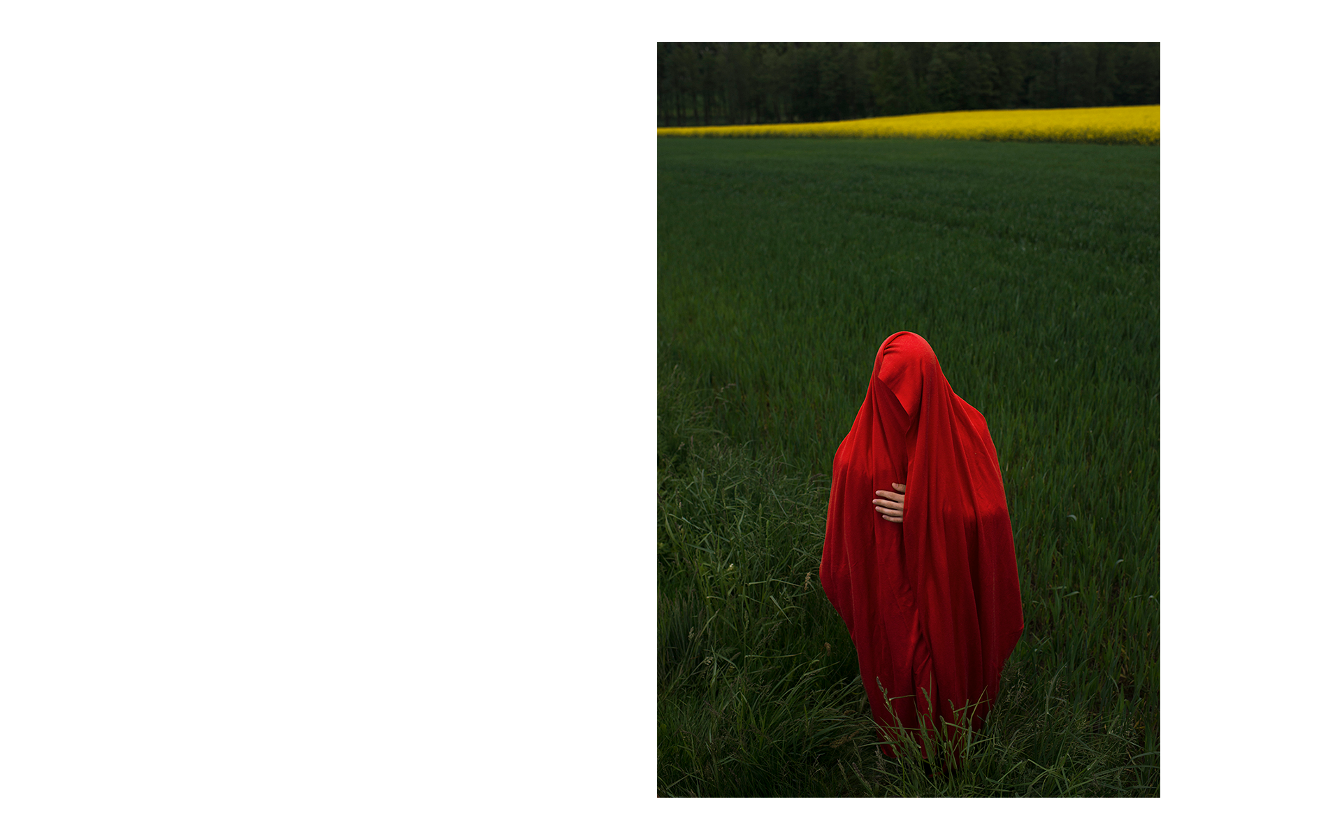Agnieszka Stachura Photography Dreams