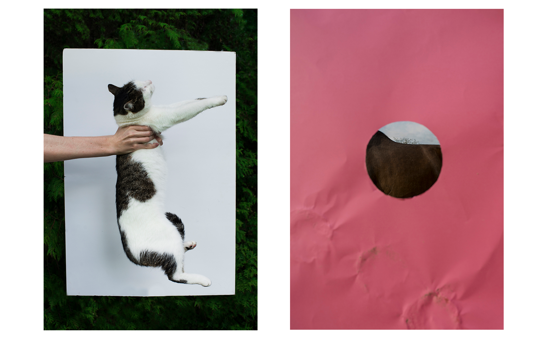 Agnieszka Stachura Photography Dreams