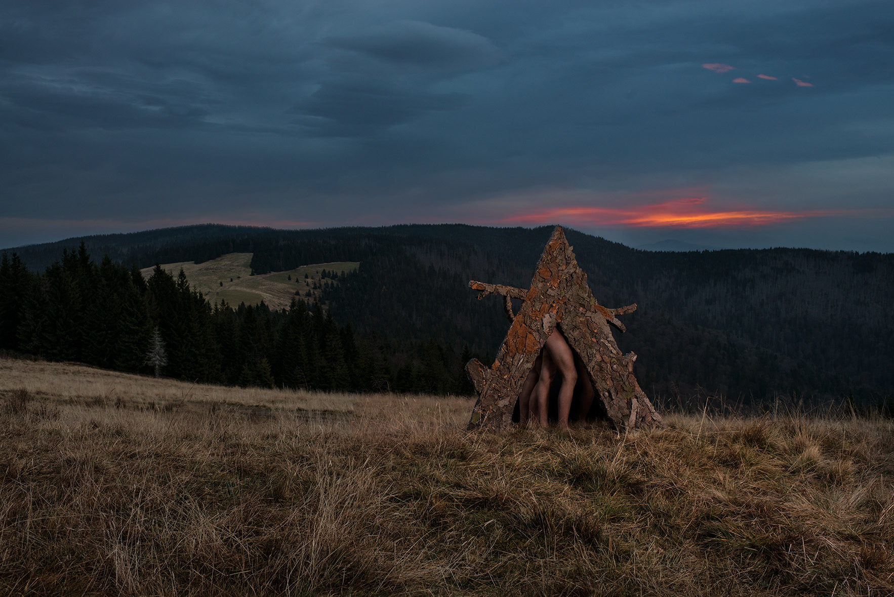 Agnieszka Stachura Bosch Photography