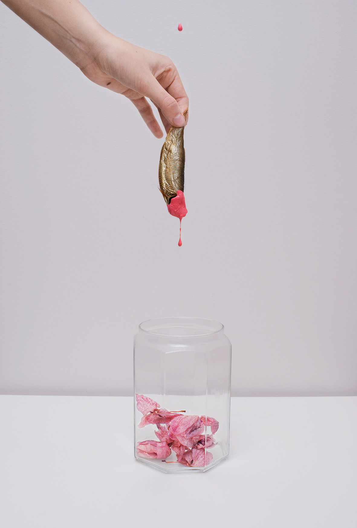Agnieszka Stachura fotografia "Absurdalna Pani Domu"
