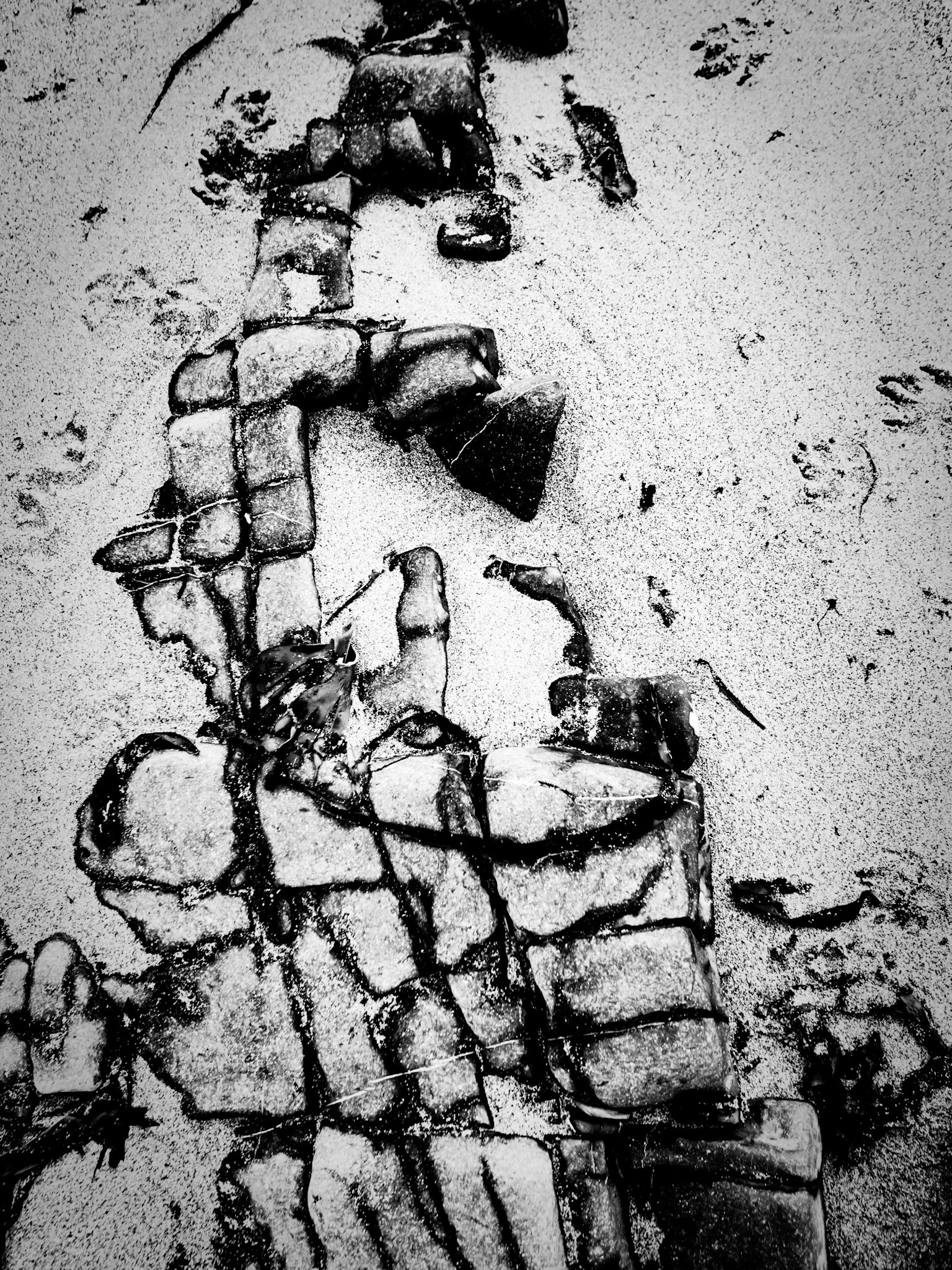 Beadnell Northumberland Summer 2019