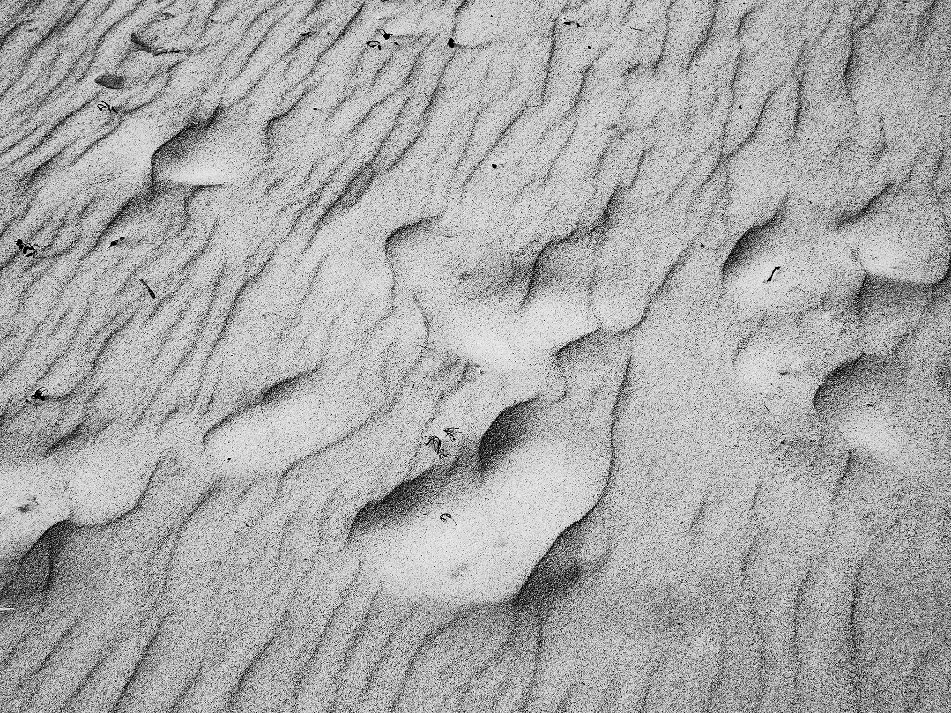 Beadnell Northumberland Summer 2019