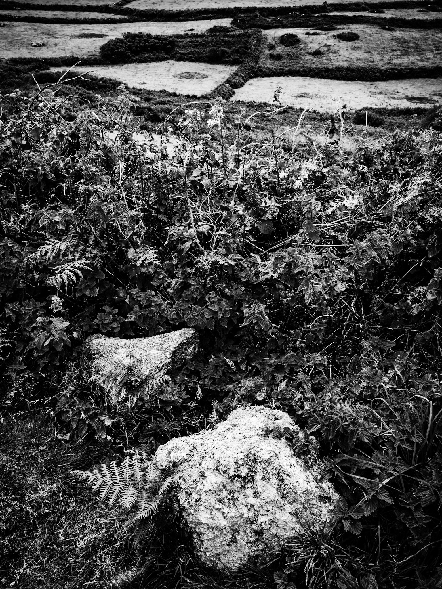 Cliff top walk St Ives