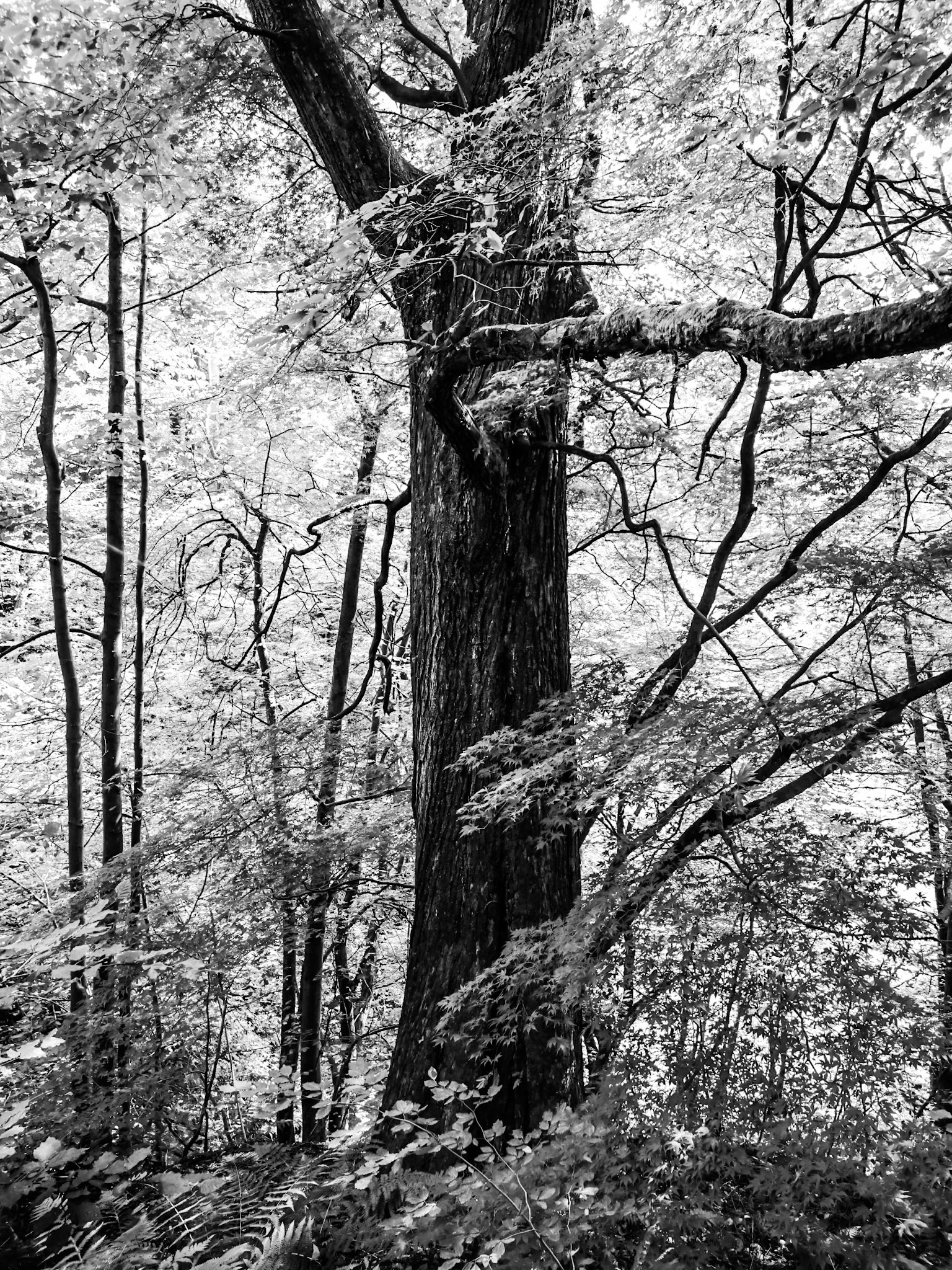 Trip to Clapham North Yorkshire for Descent of Gaping Gill.