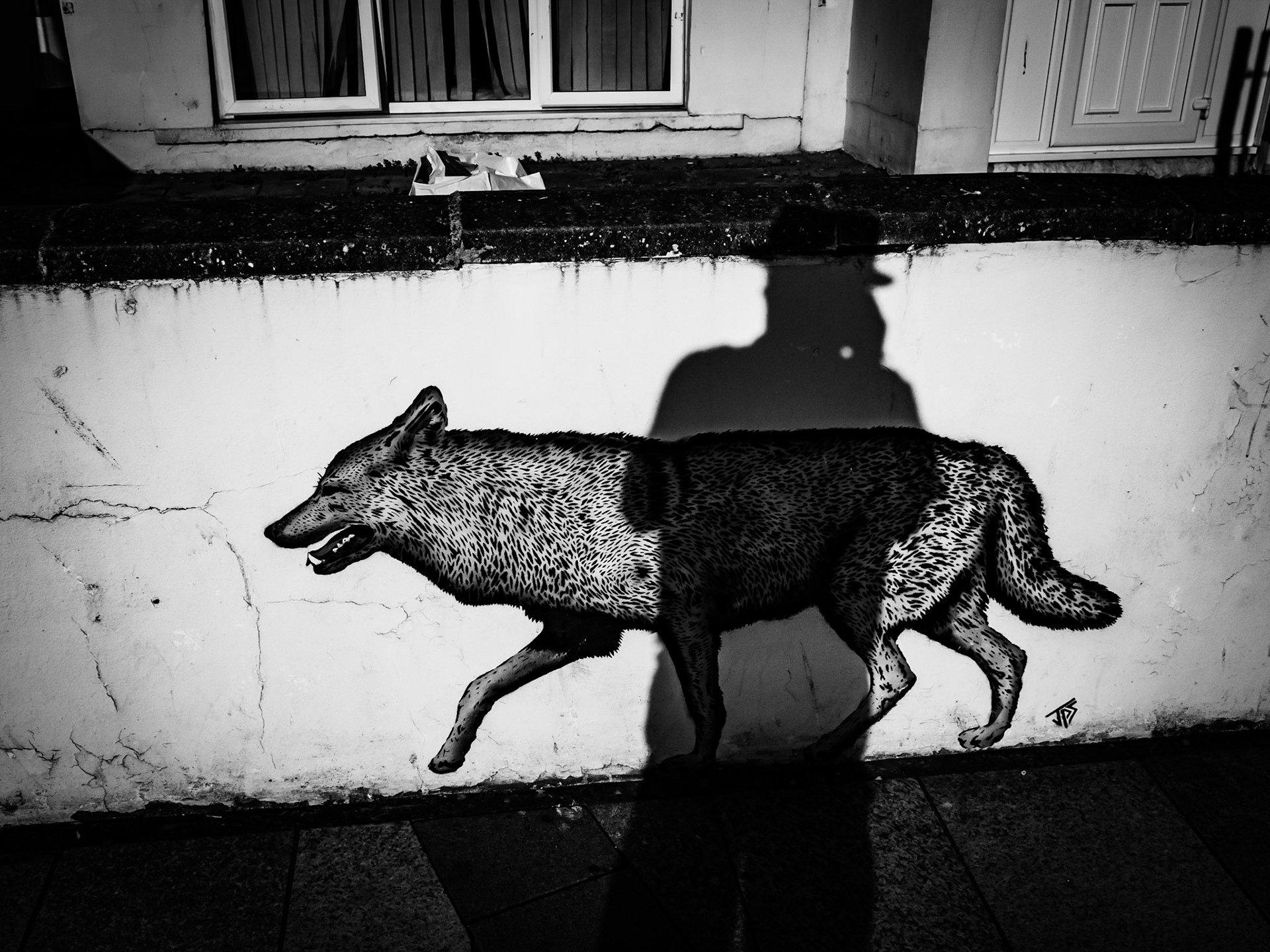Dog Mural Weston Super Mare