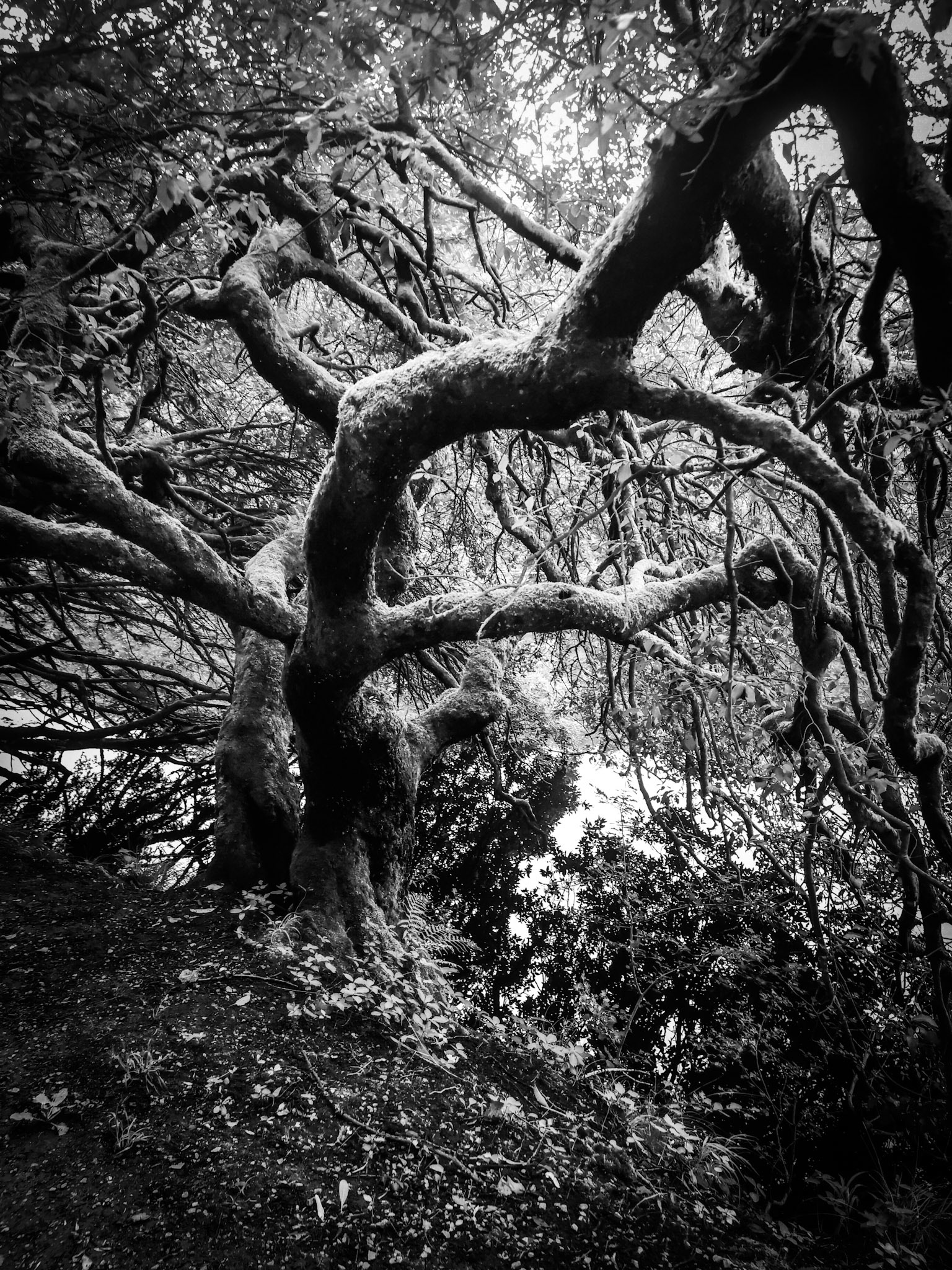 Trip to Clapham North Yorkshire for Descent of Gaping Gill.