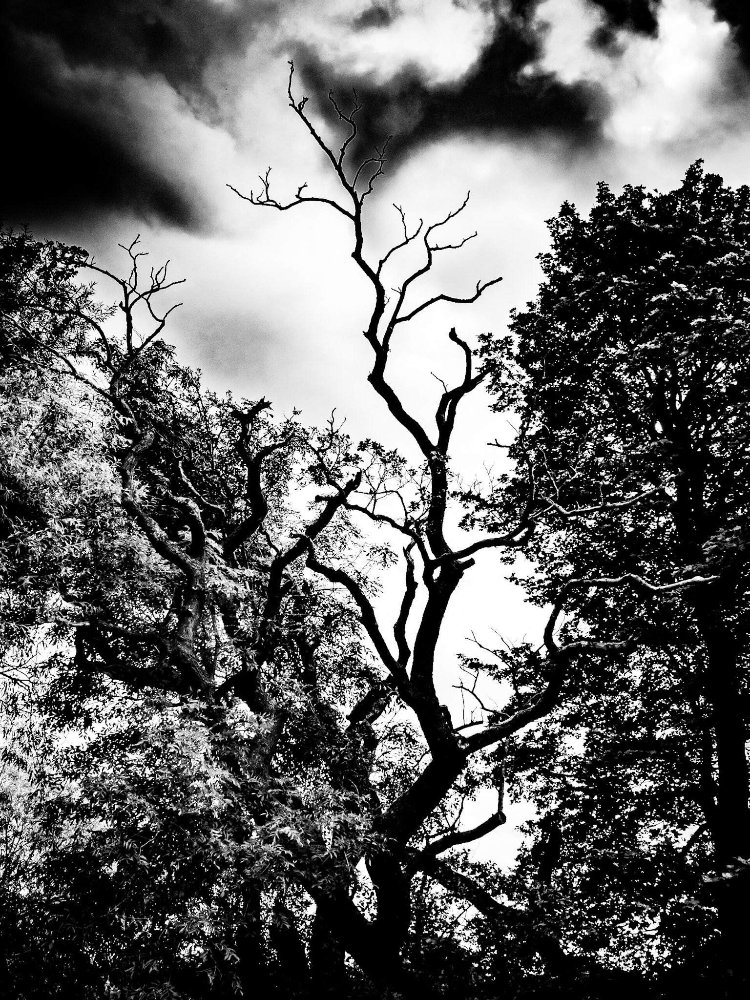 YorkshireSculpture Park Barnsley