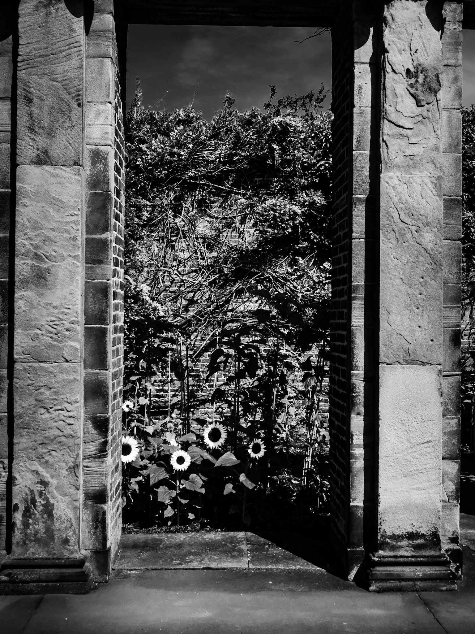 Cannon Hall Barnsley