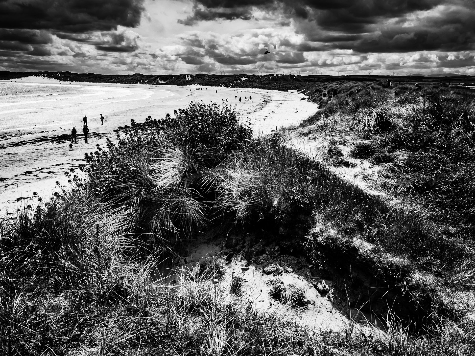 Beadnell Northumberland Summer 2019
