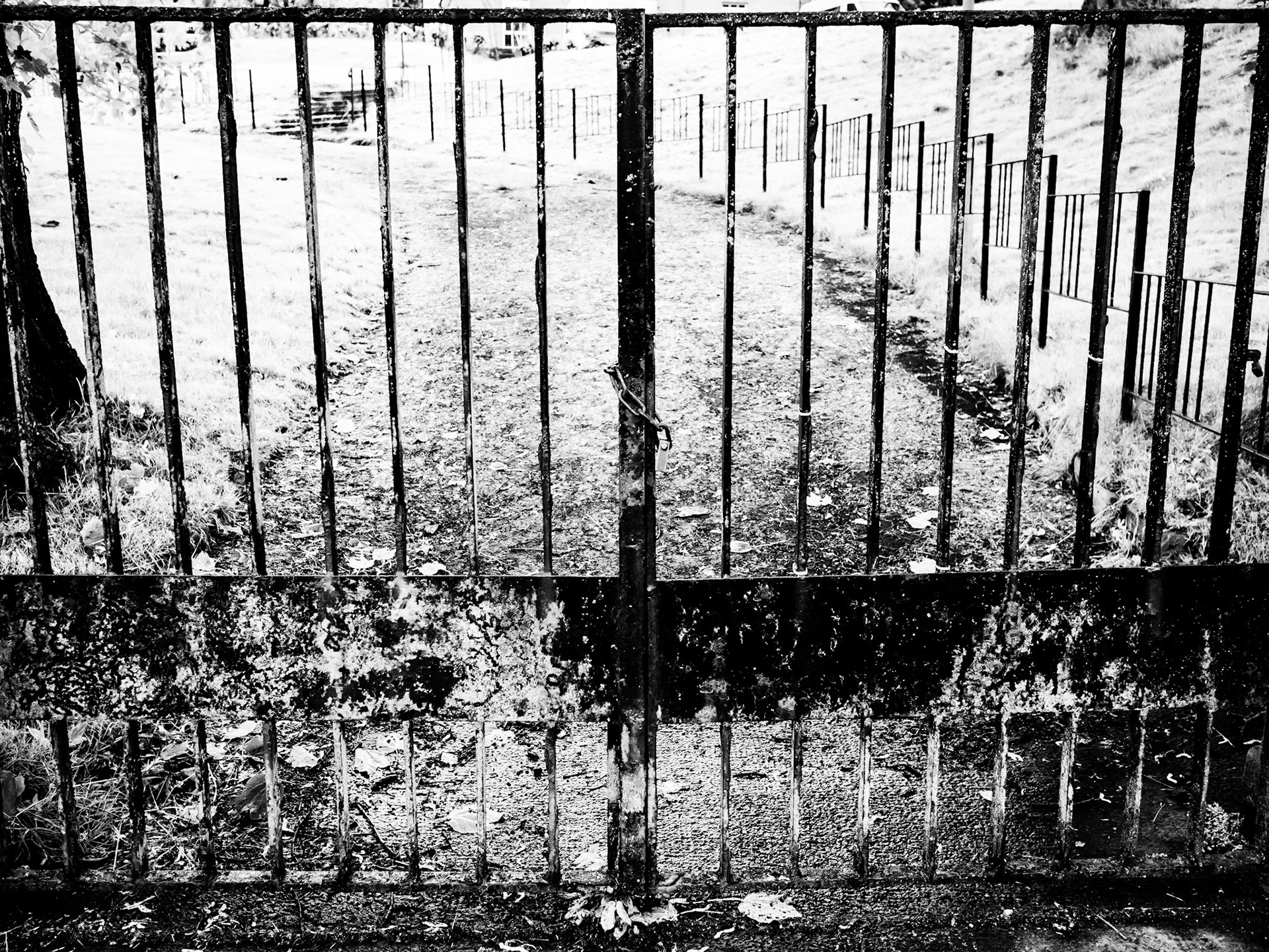 Alnwick Northumberland Summer 2019