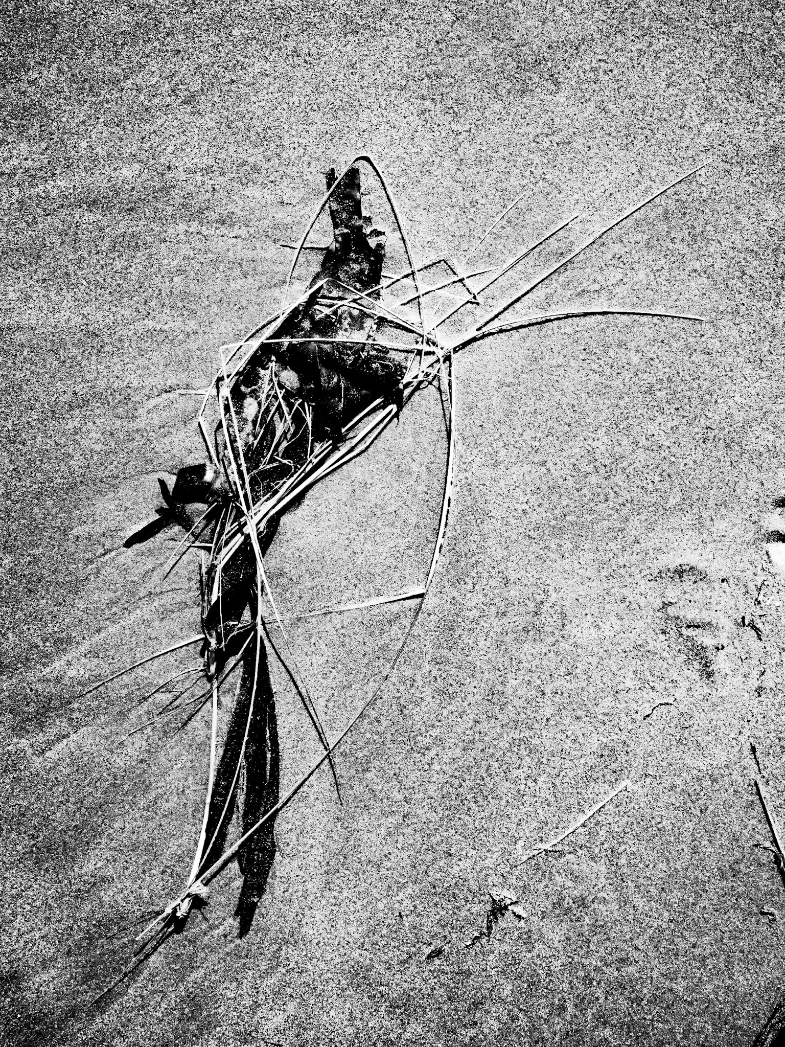 Beadnell Northumberland Summer 2019