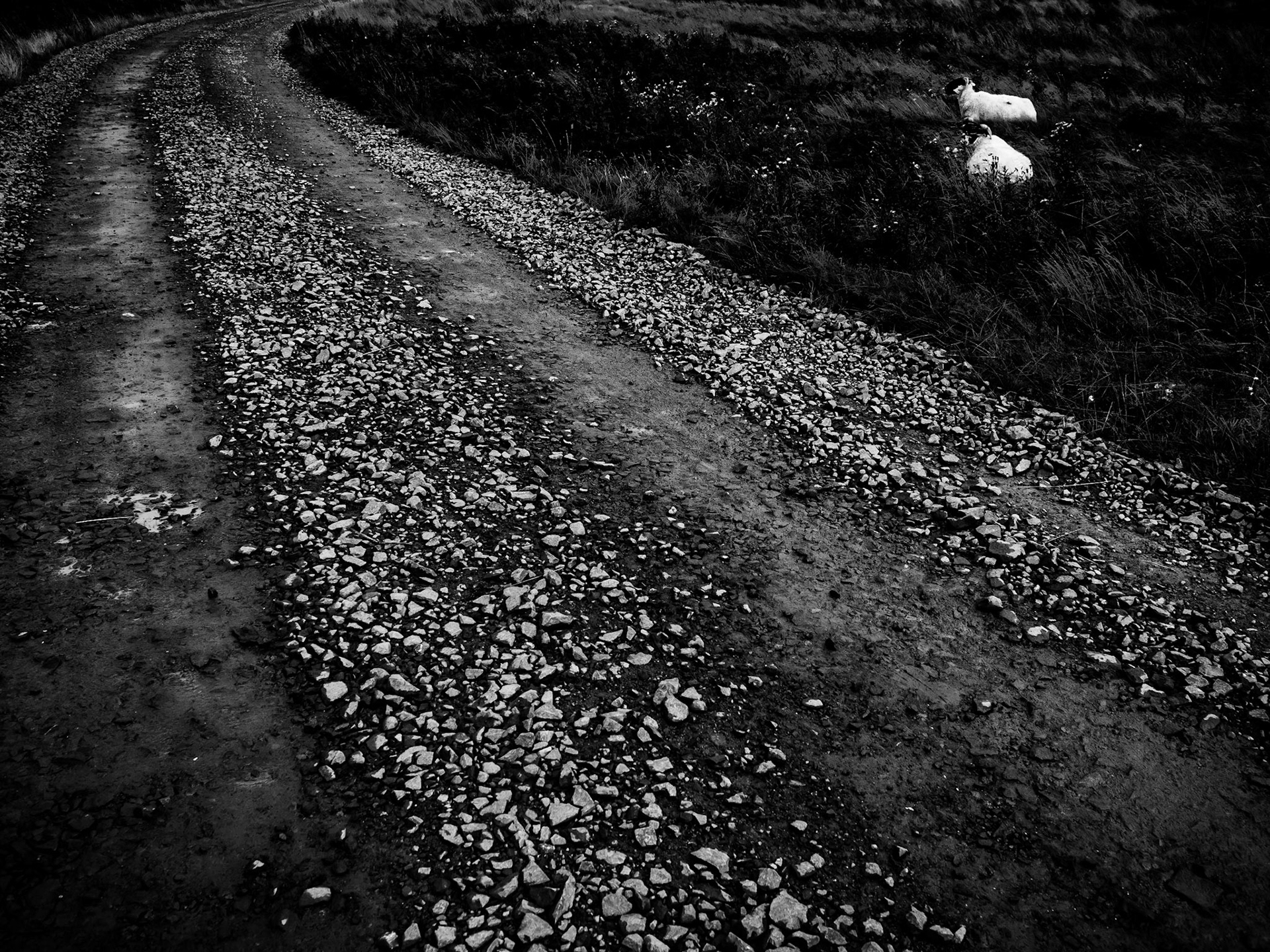 Clennell Northumberland