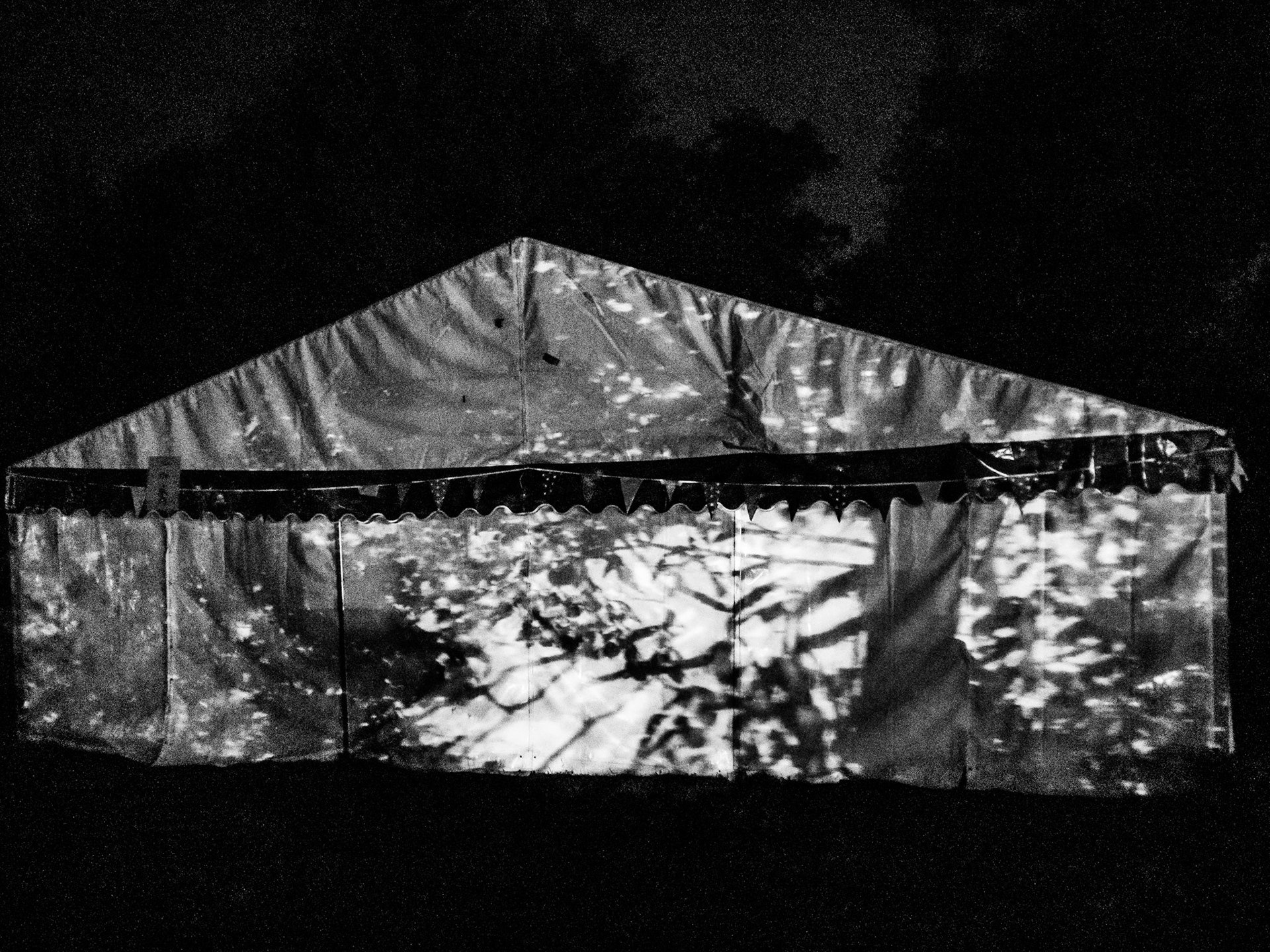 Underneath the Stars Festival