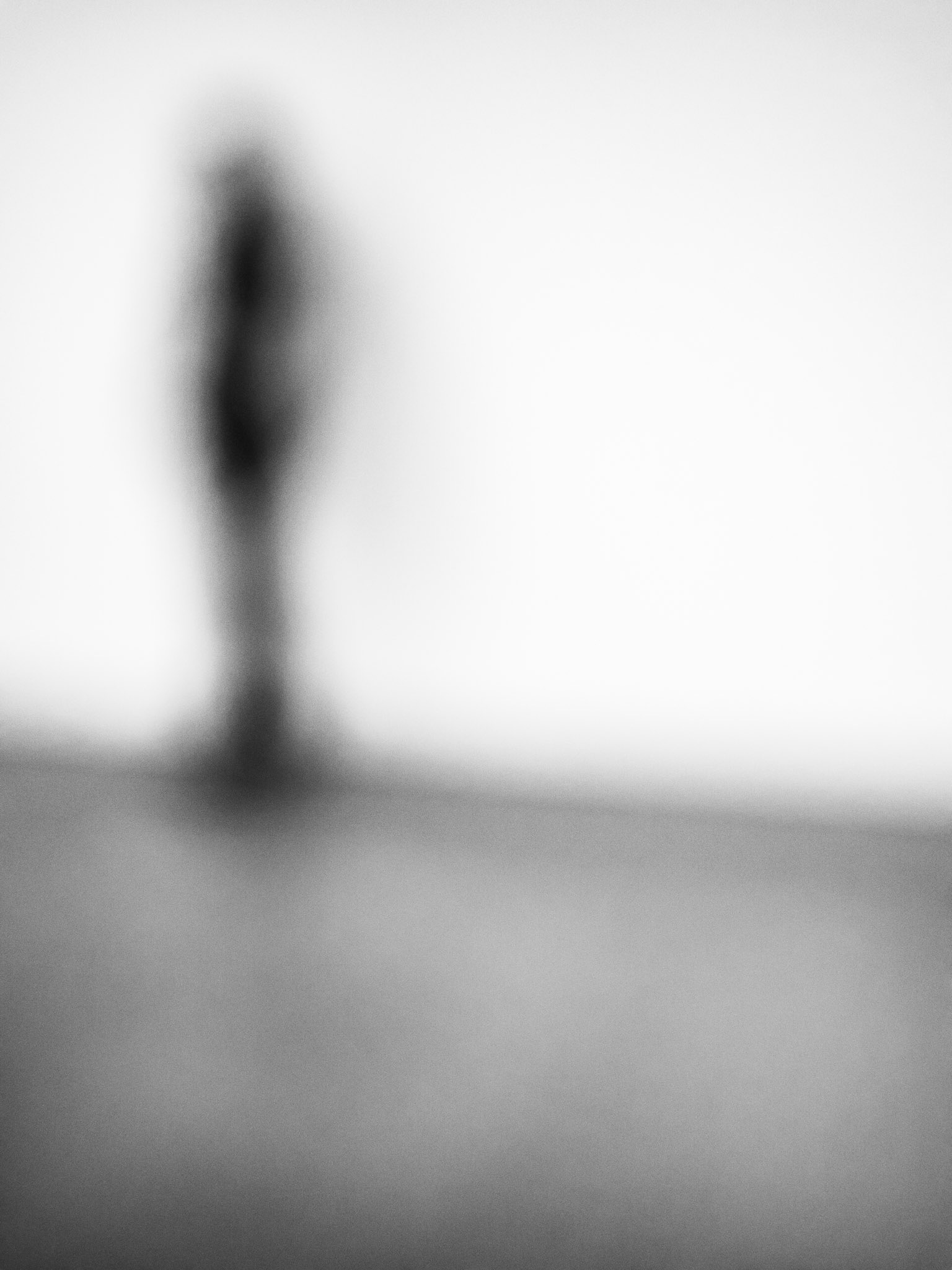 Yorkshire Sculpture Park