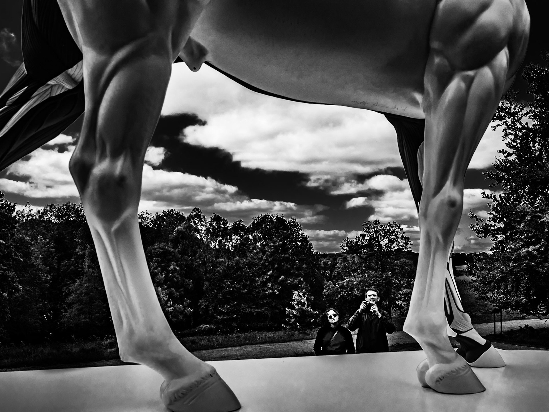 Yorkshire Sculpture Park