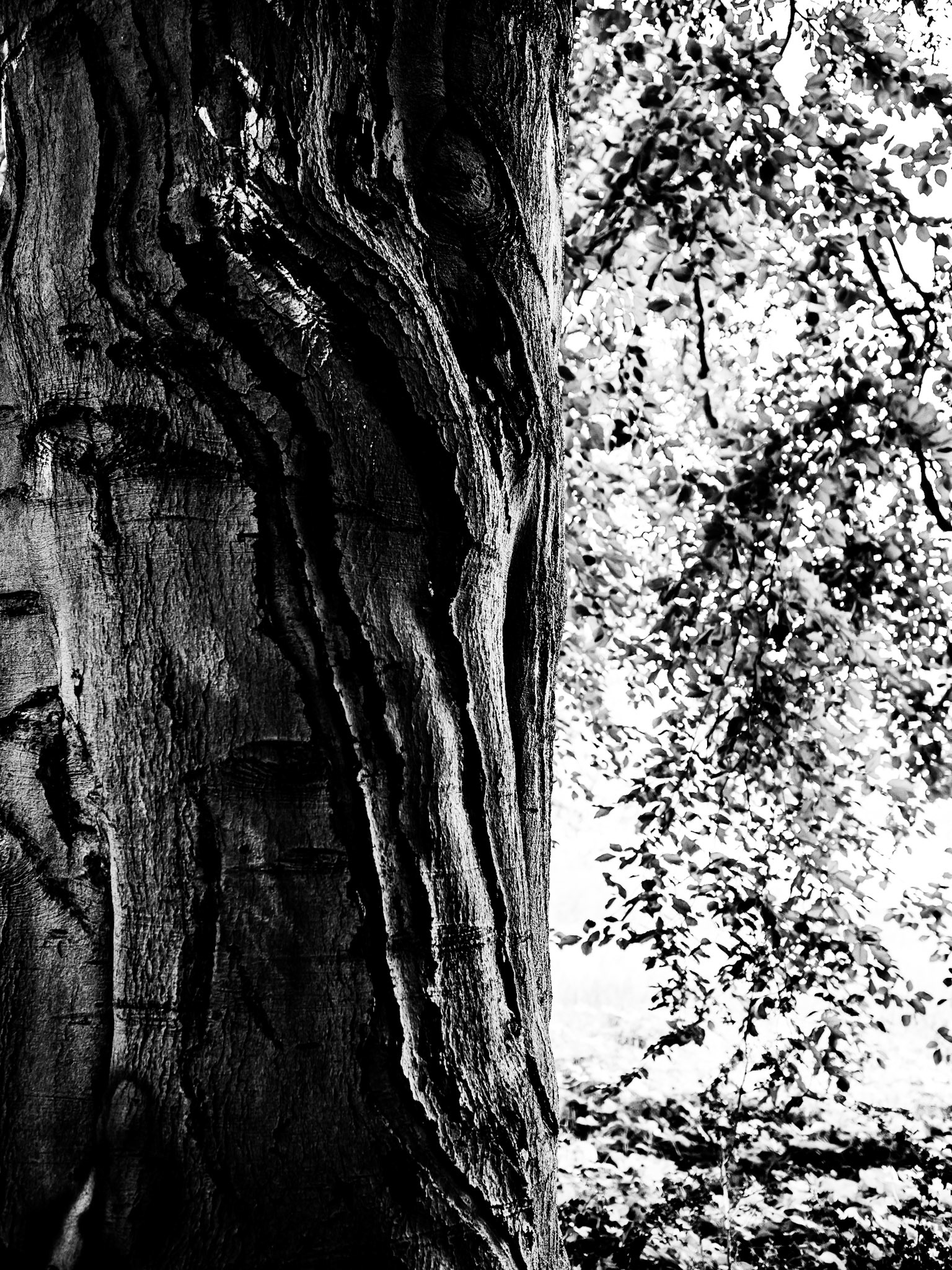 YorkshireSculpture Park Barnsley