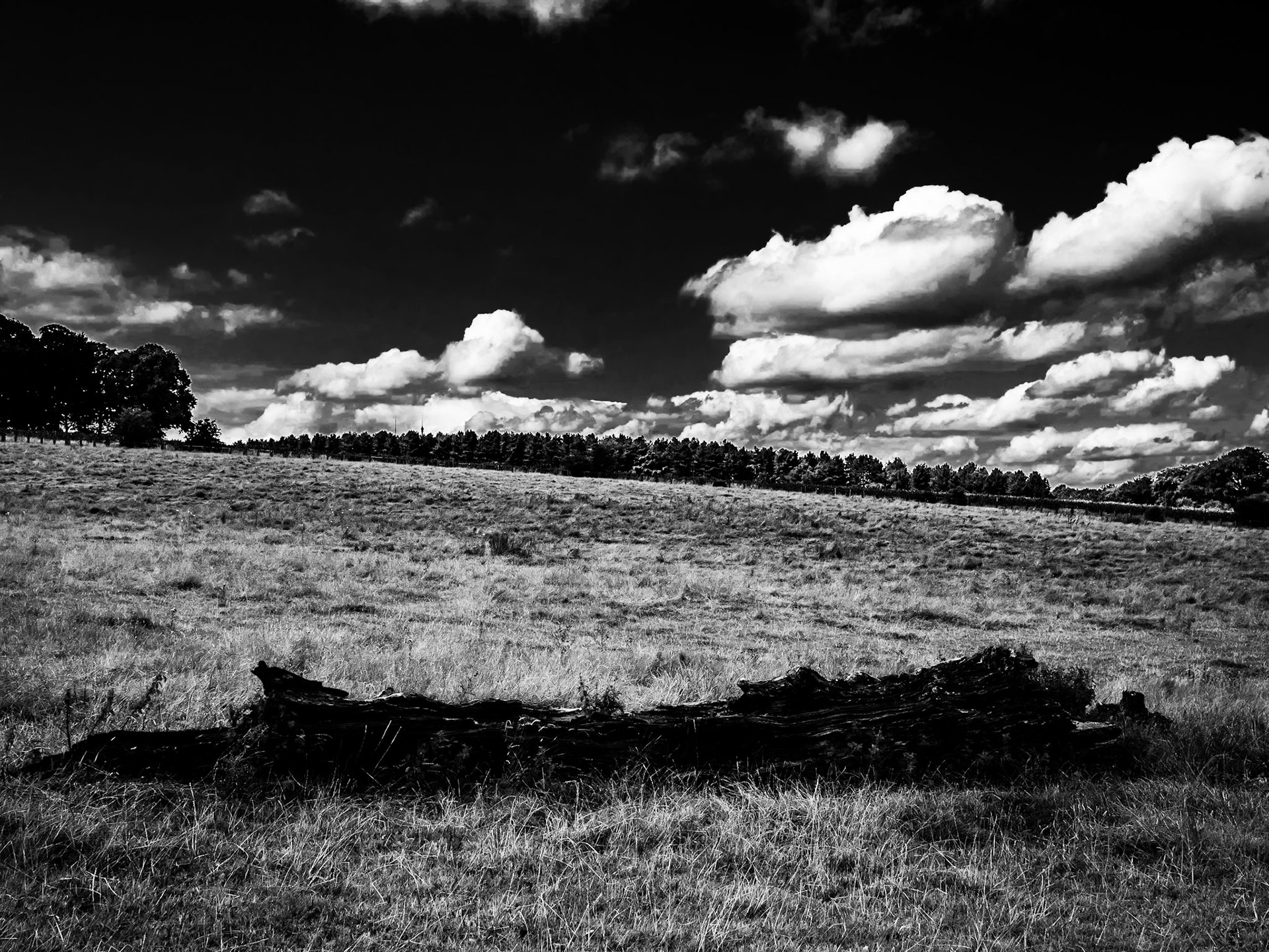 YorkshireSculpture Park Barnsley