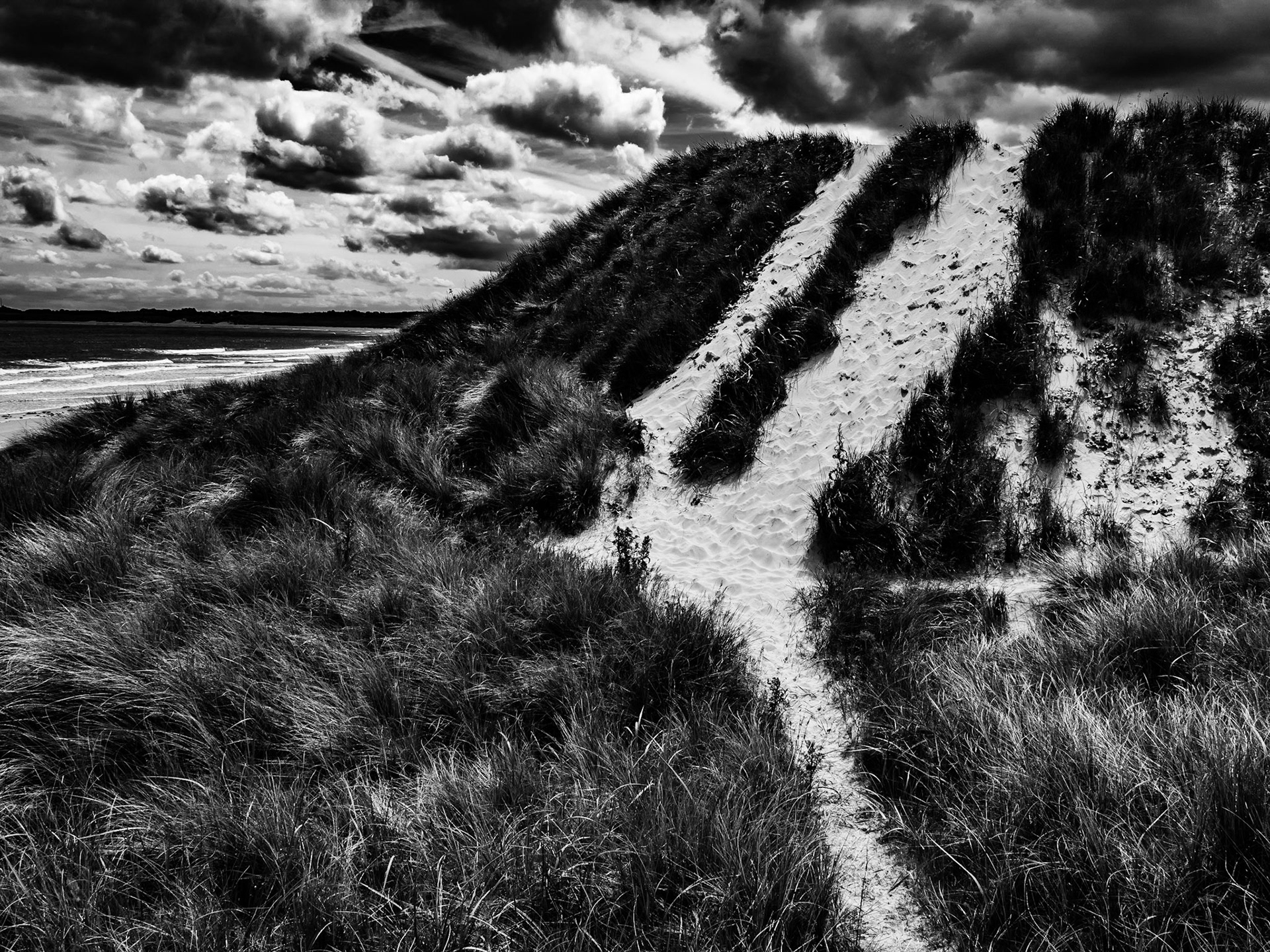 Beadnell Northumberland Summer 2019
