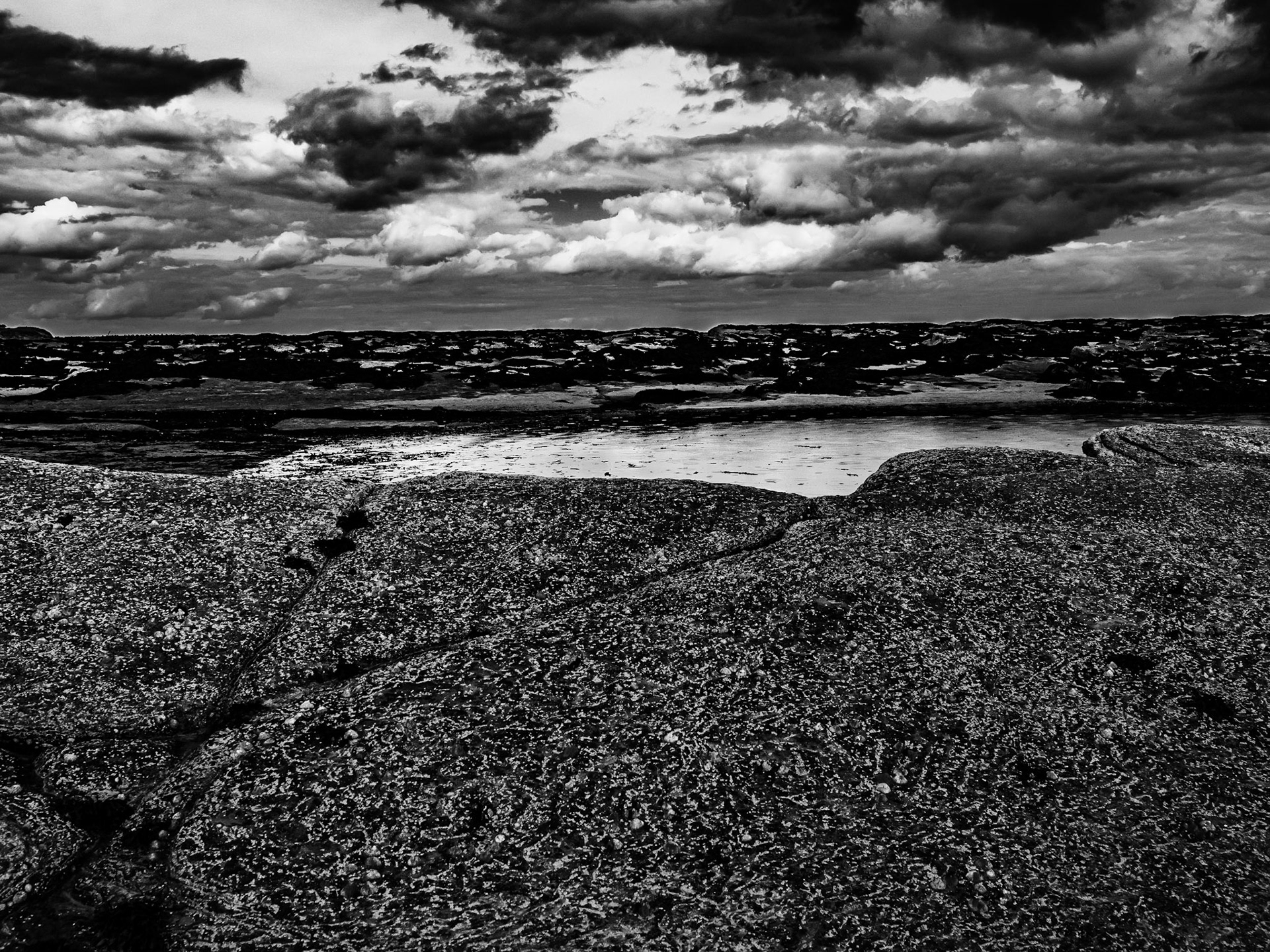 Beadnell Northumberland Summer 2019
