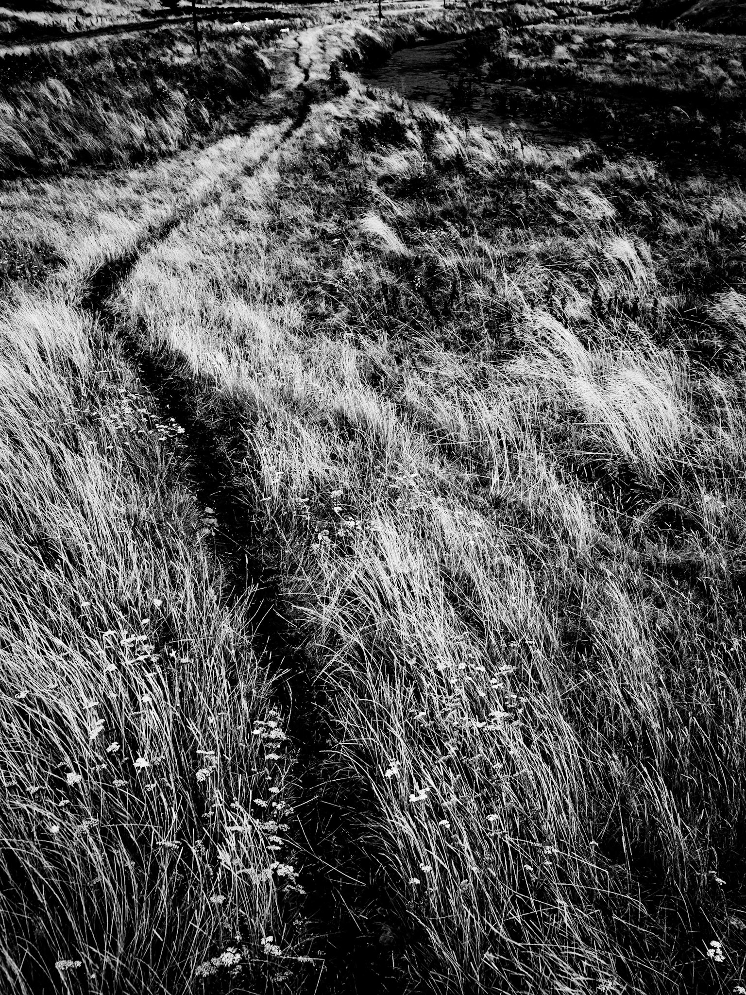 Clennell Northumberland