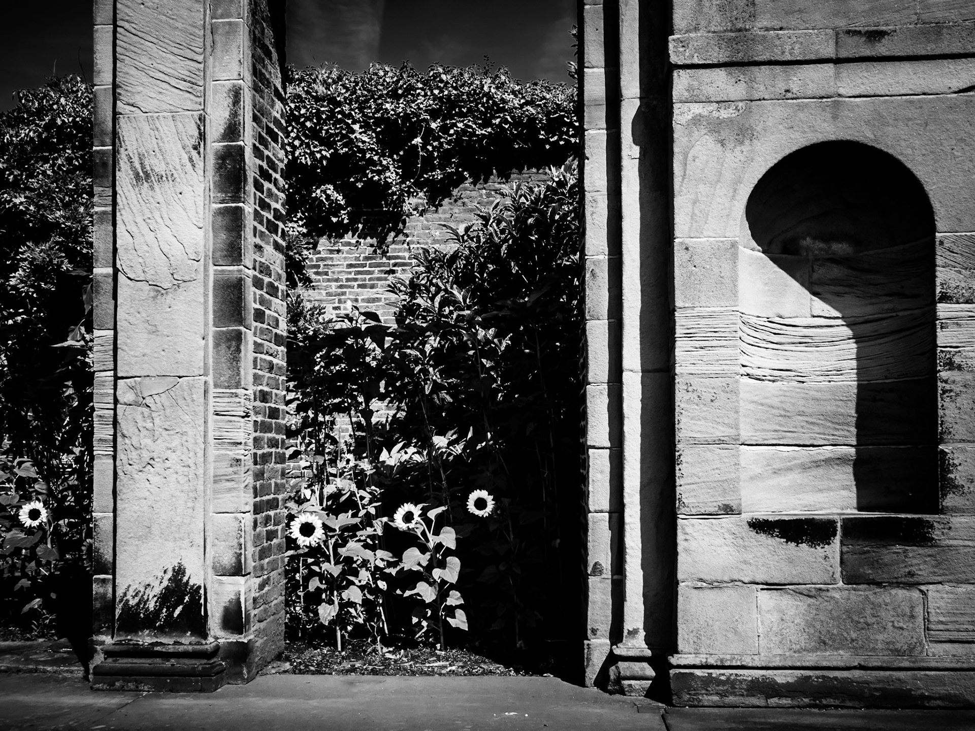 Cannon Hall Barnsley