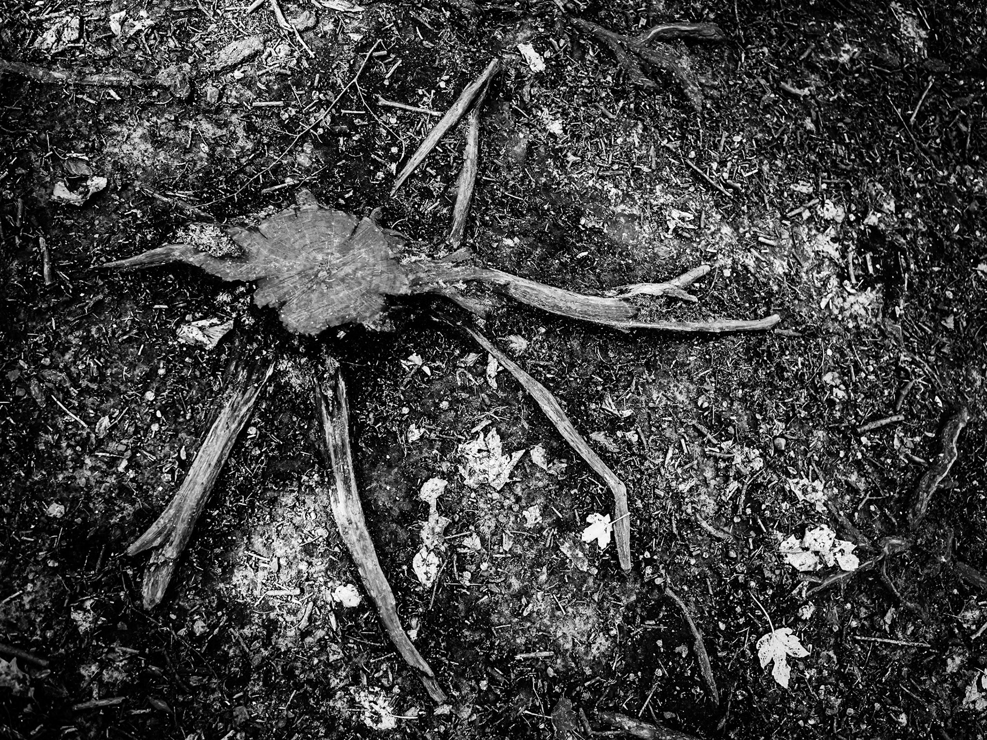 YorkshireSculpture Park Barnsley