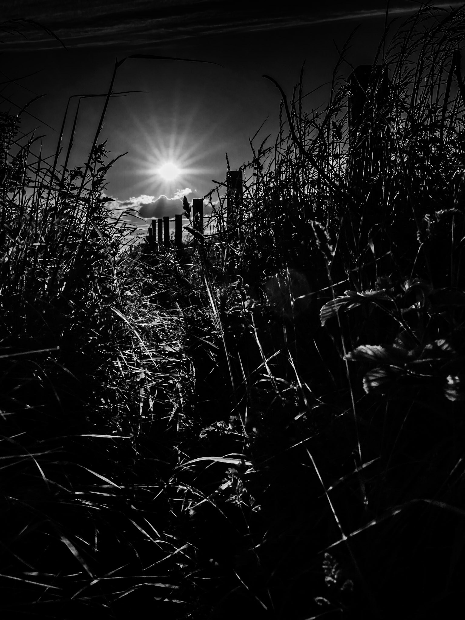 Beadnell Northumberland Summer 2019