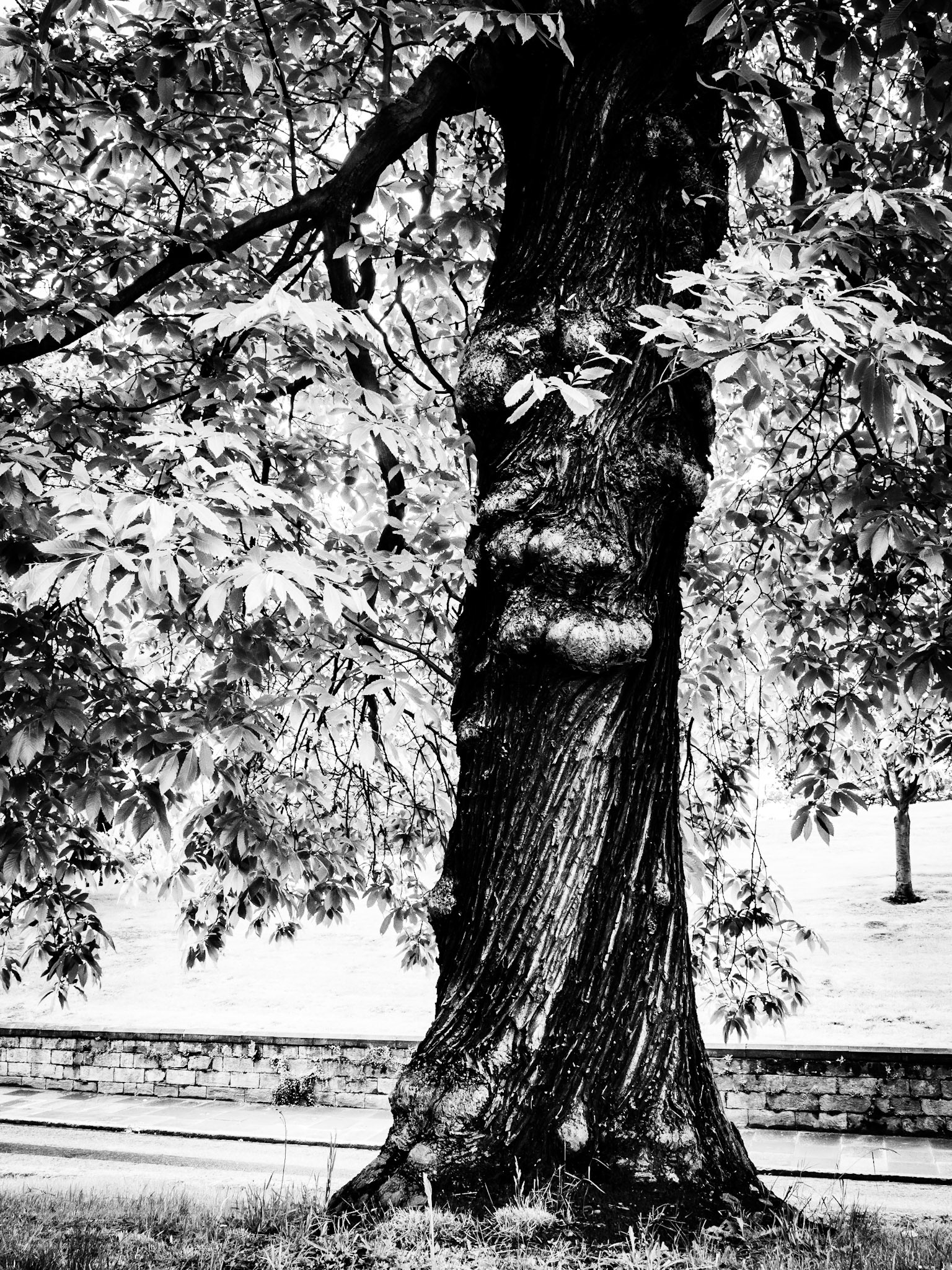 Alnwick Northumberland Summer 2019