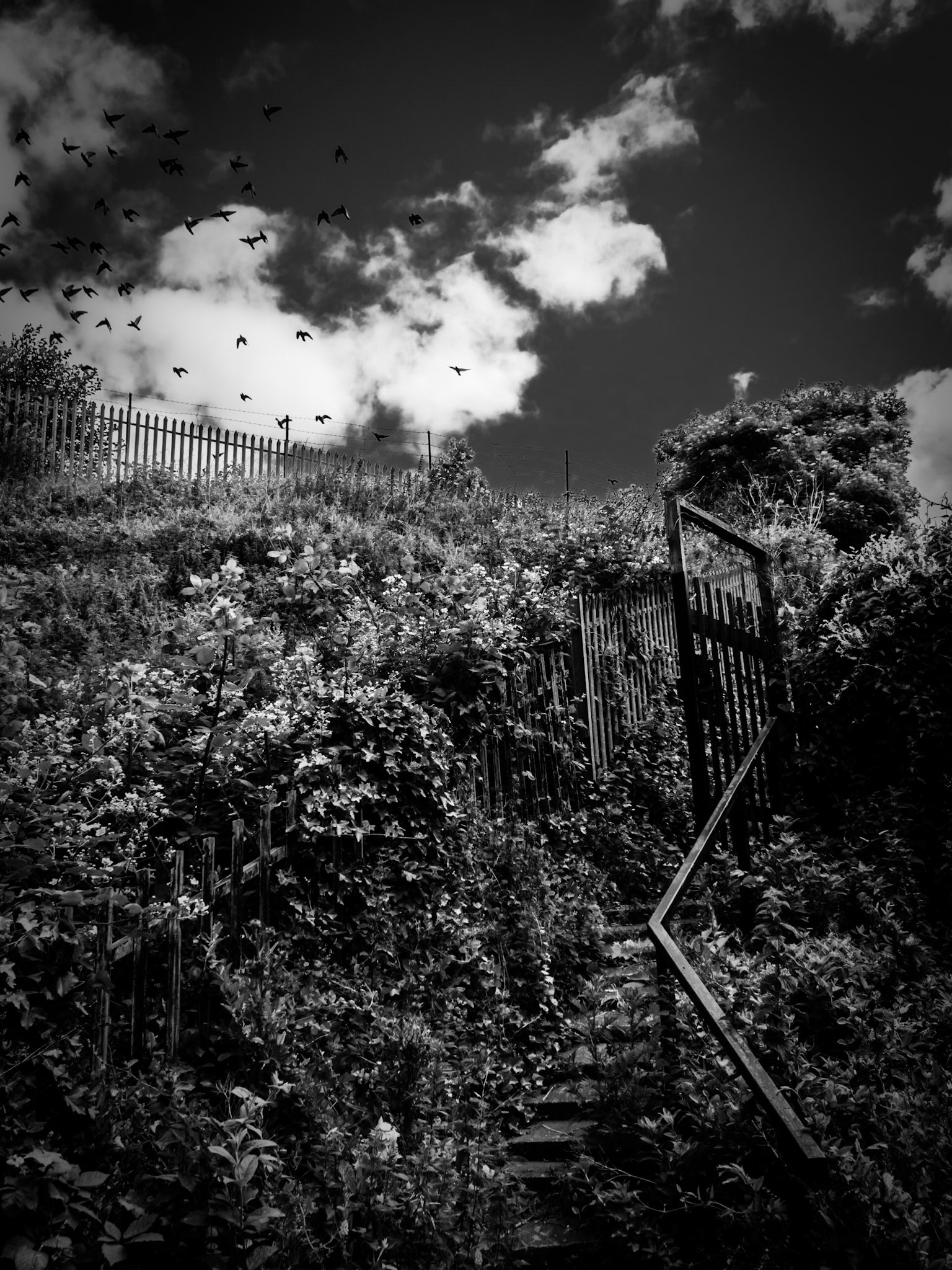 Newcastle, Northumberland summer 2019