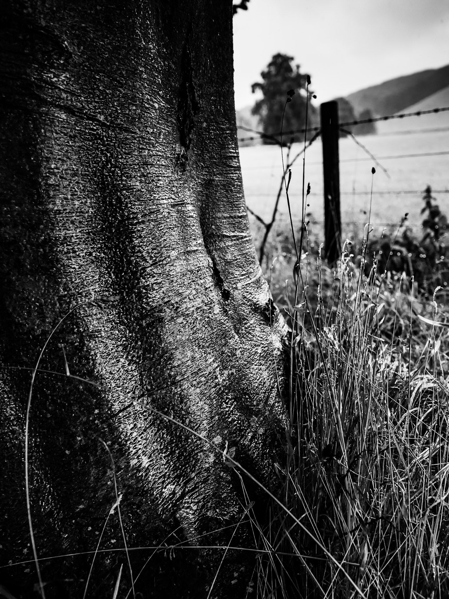 Clennell Northumberland