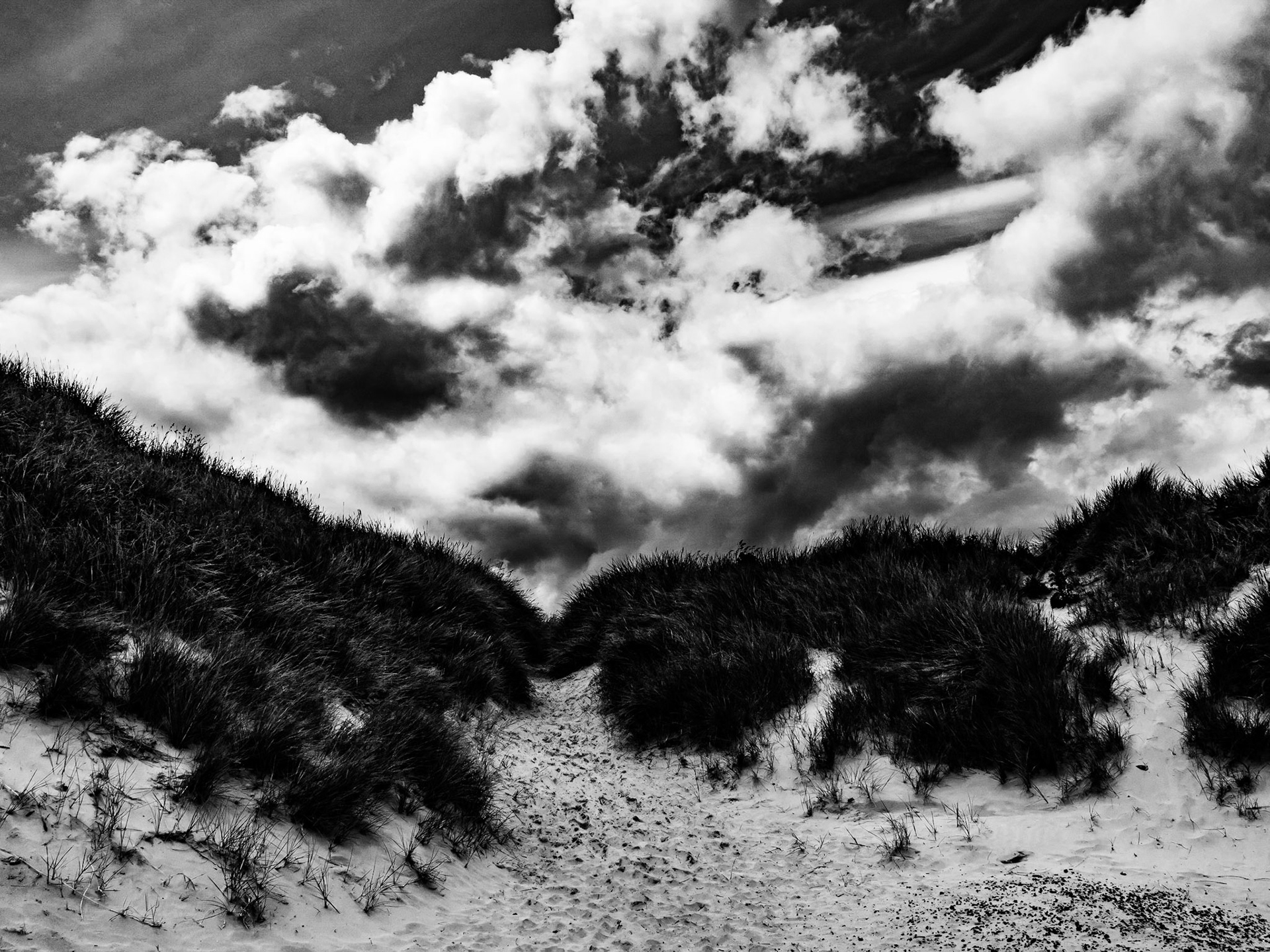 Beadnell Northumberland Summer 2019