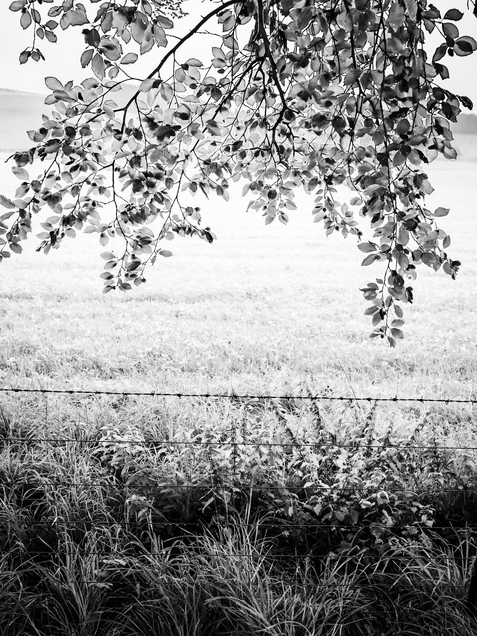 Clennell Northumberland