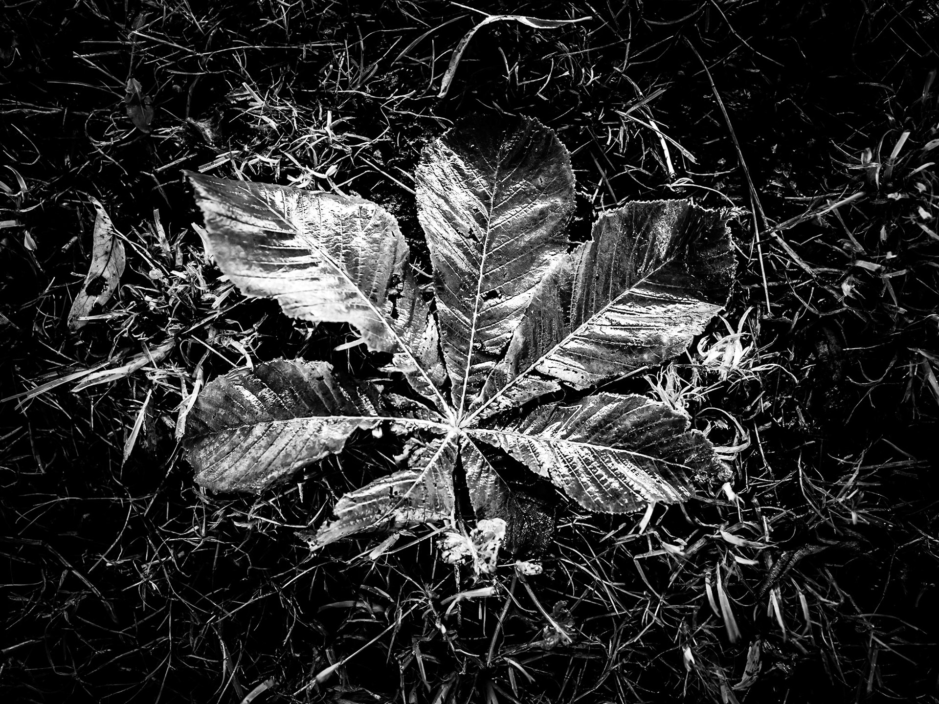 Clennell Northumberland