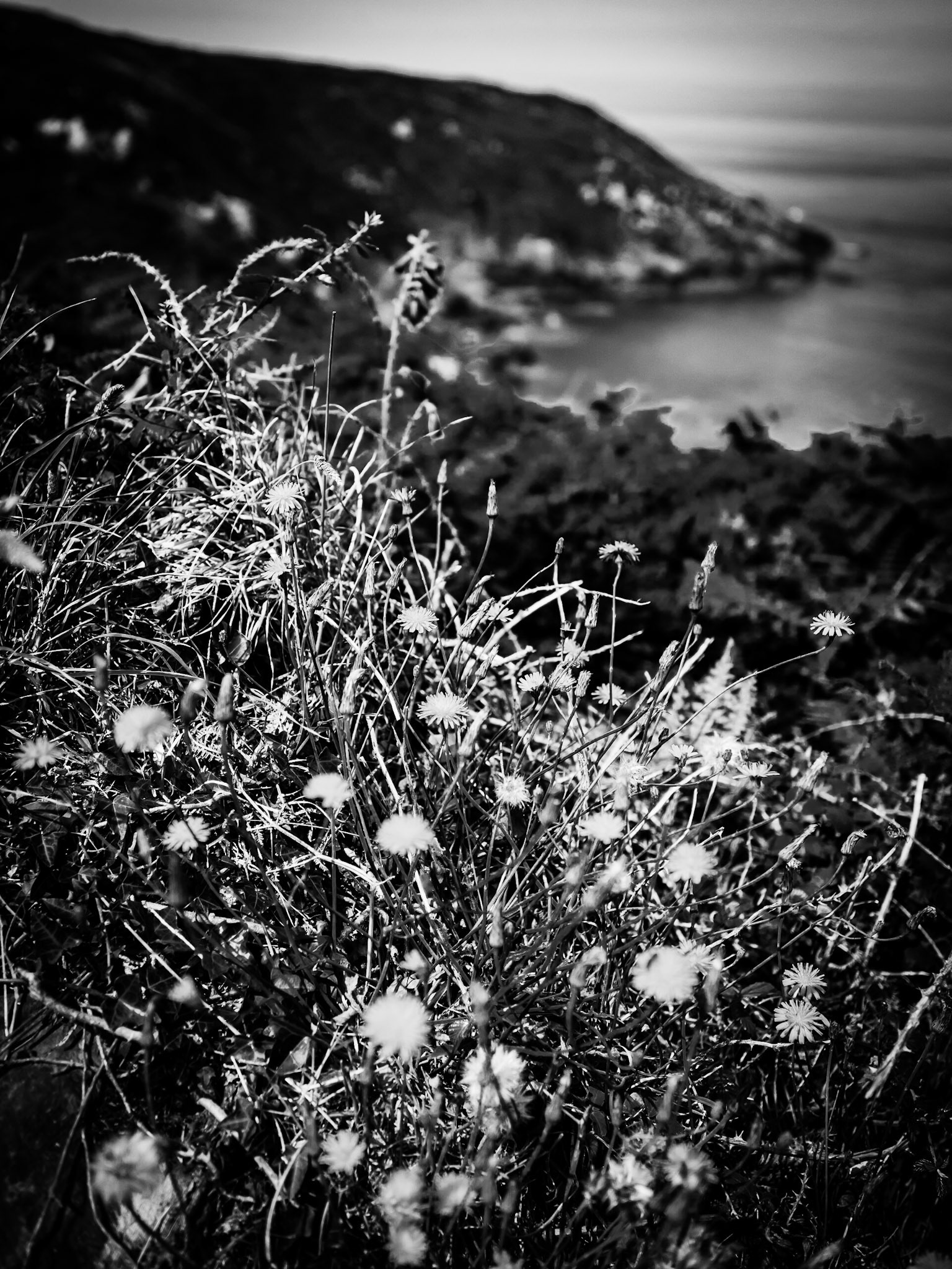 Cliff top walk St Ives