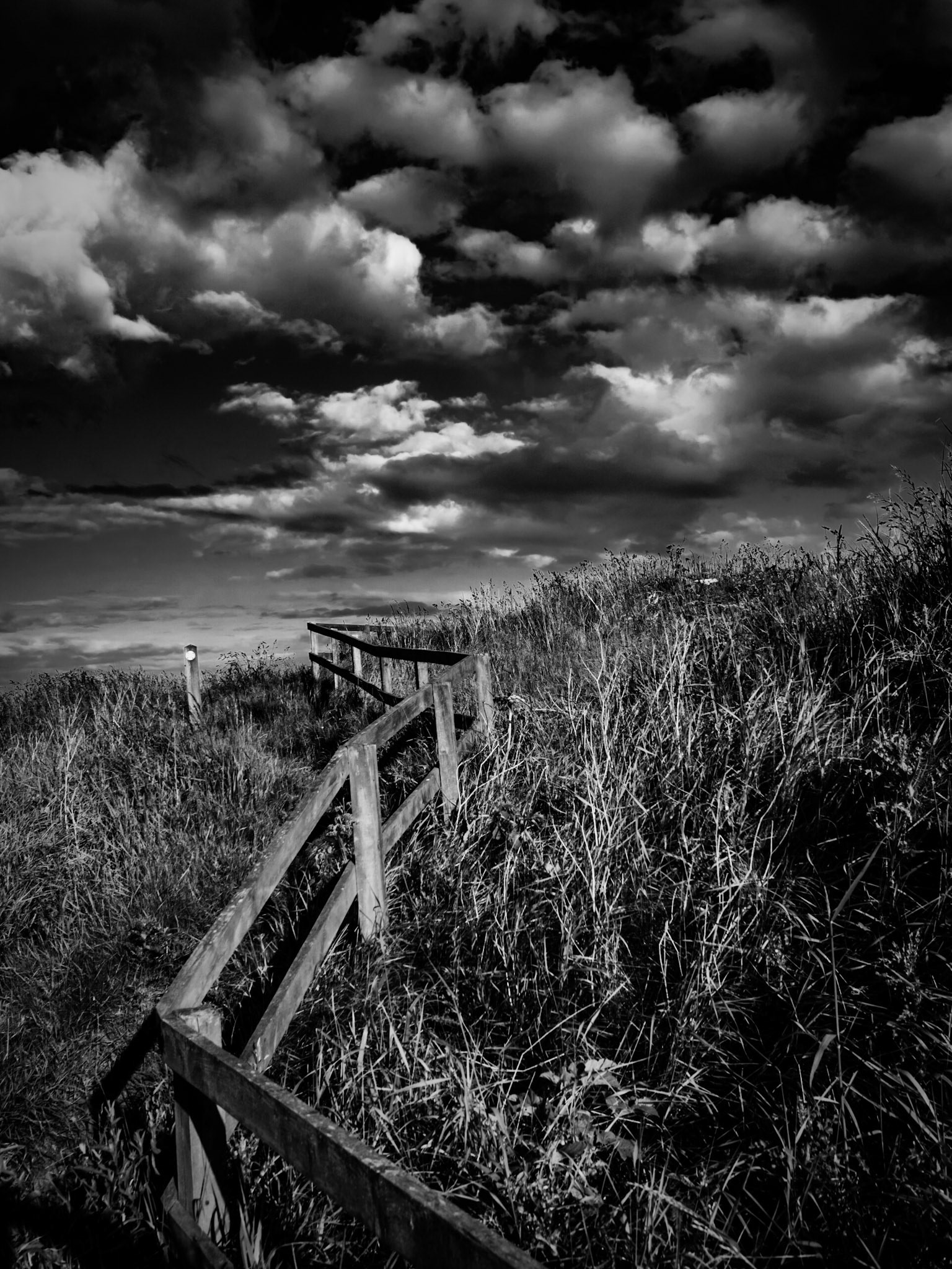 Beadnell Northumberland Summer 2019